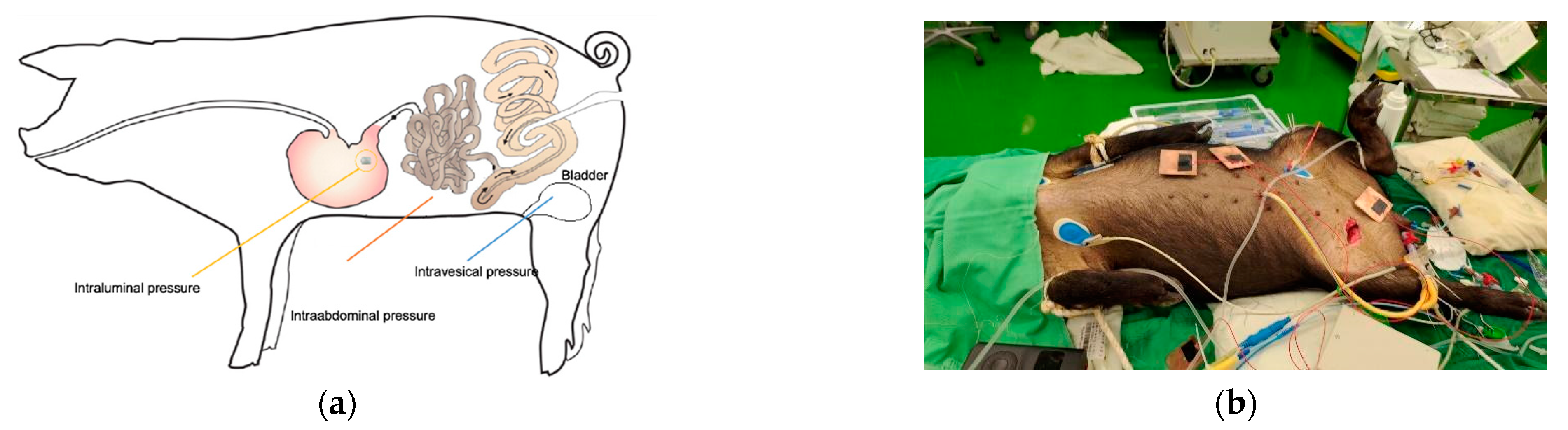 Jpm 11 00012 g003 Jpm 11 00012 g003