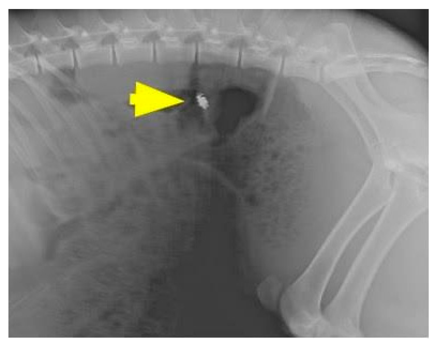 Jpm 11 00012 g004 Jpm 11 00012 g004