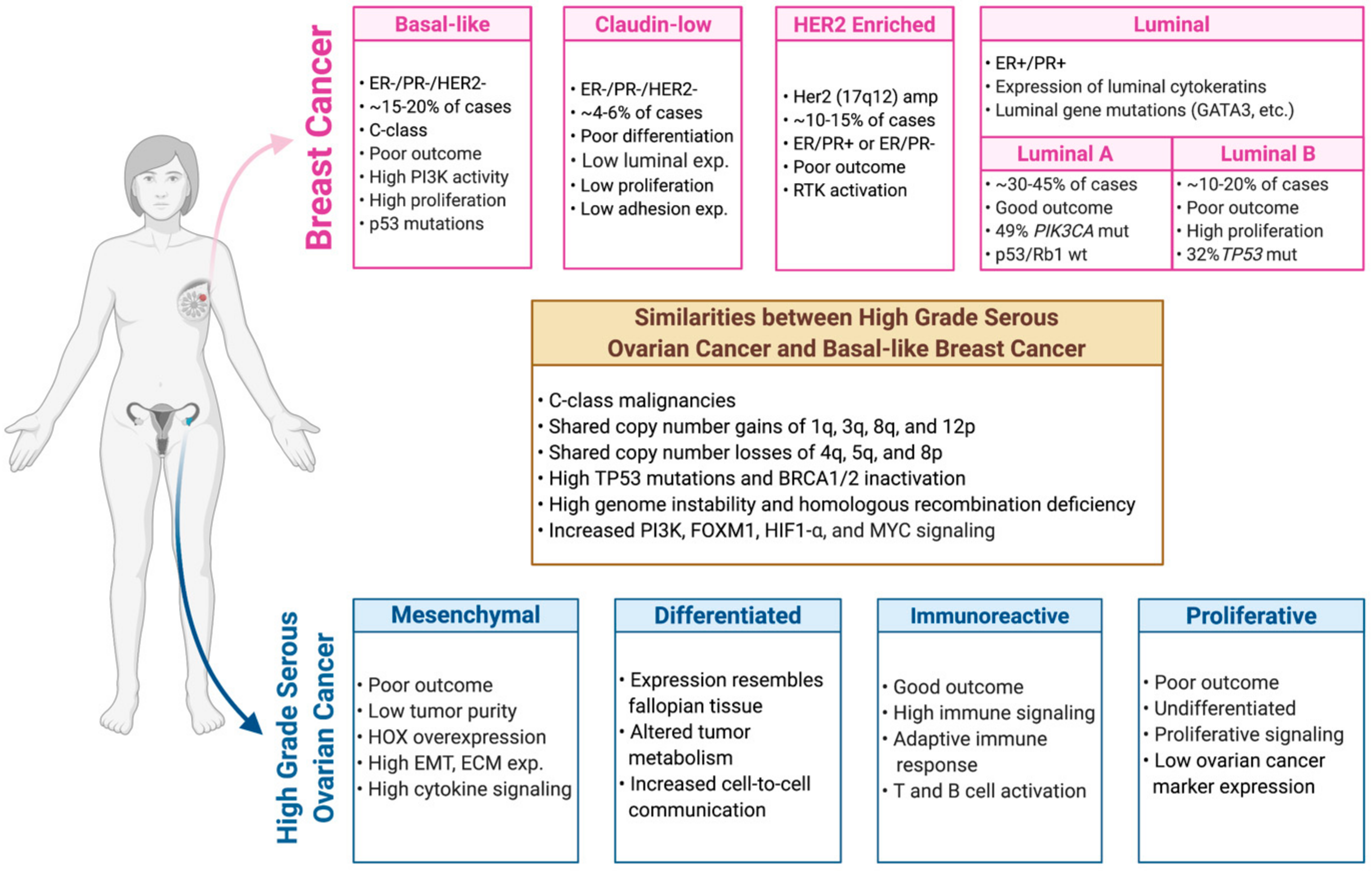 Jpm 11 00149 g001 Jpm 11 00149 g001