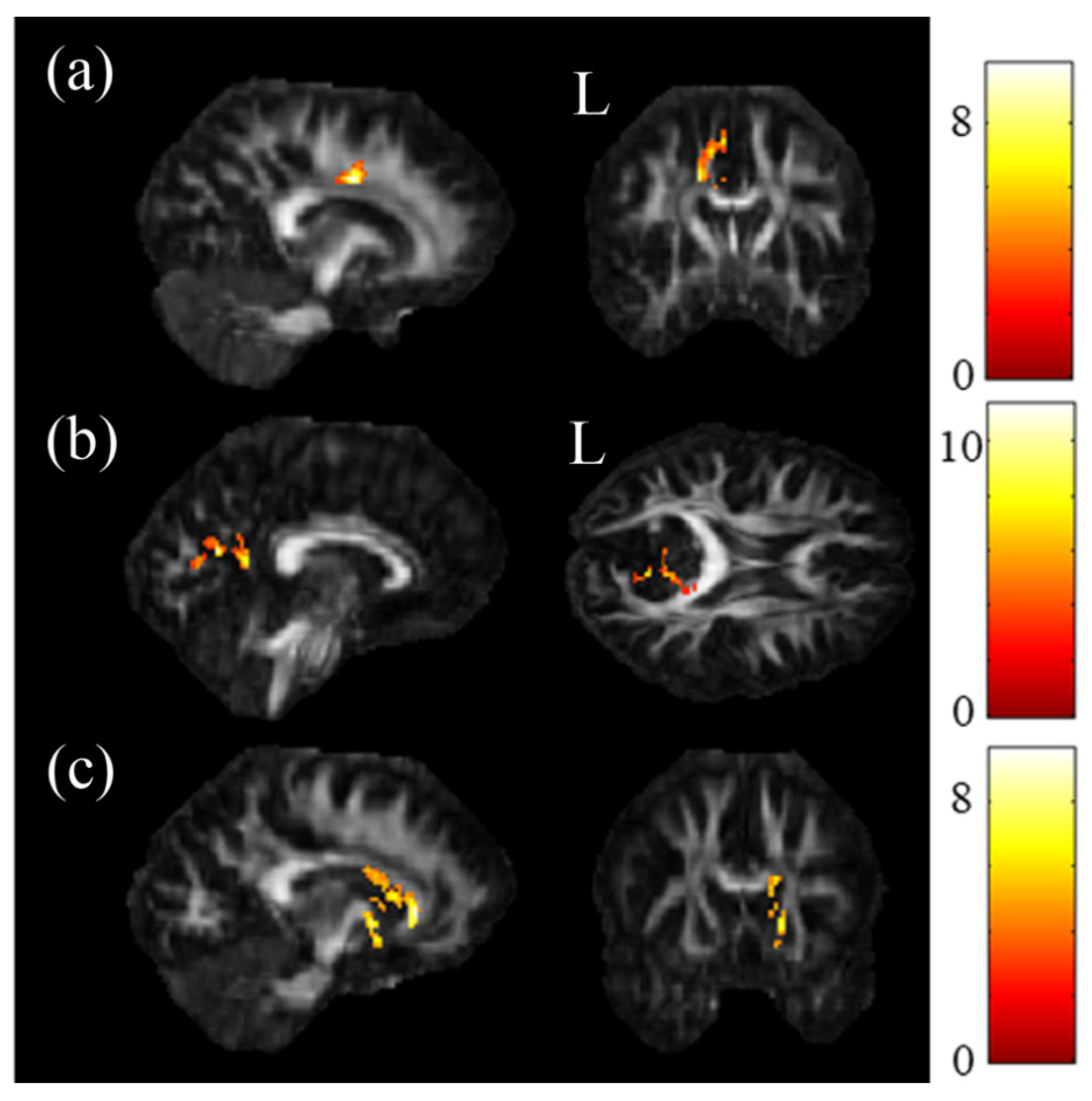 Jpm 11 00174 g001 Jpm 11 00174 g001