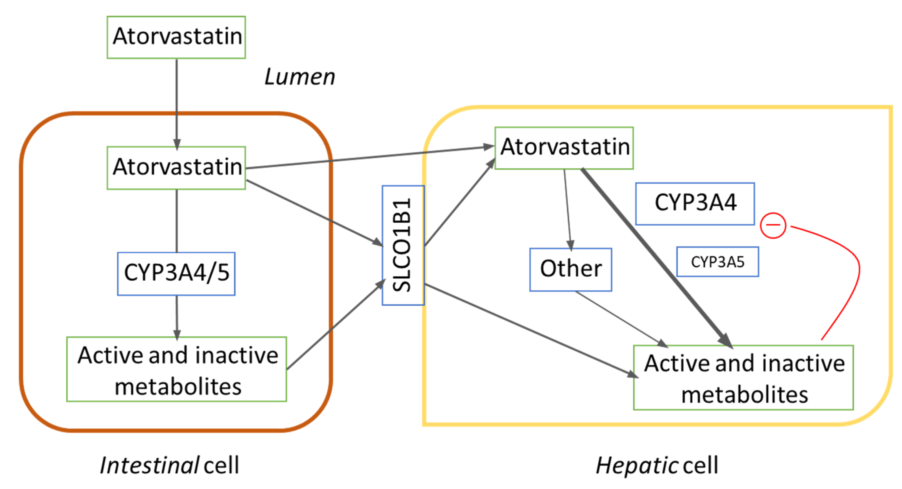 Jpm 11 00204 g001 Jpm 11 00204 g001