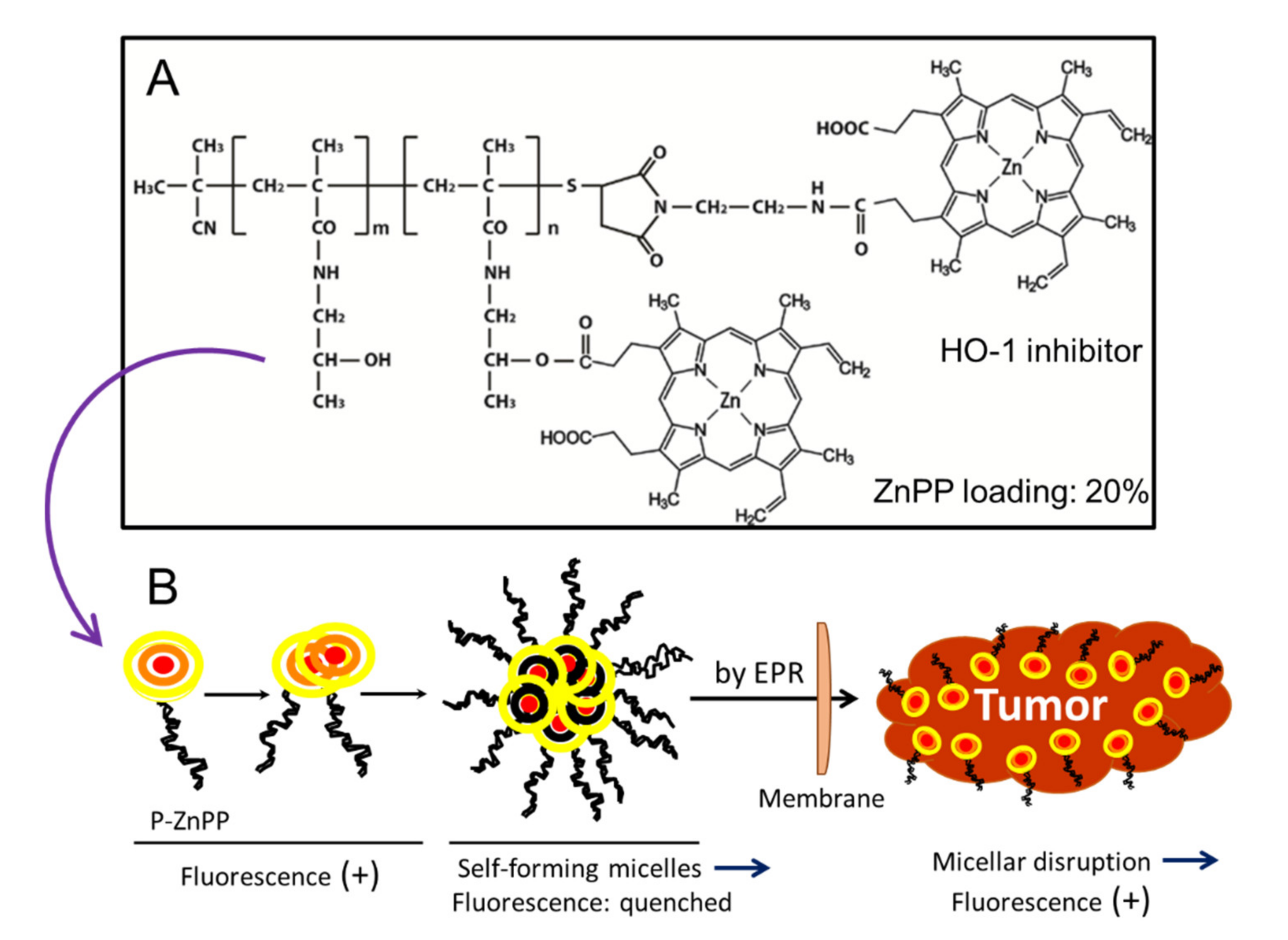 Jpm 11 00229 g003 Jpm 11 00229 g003