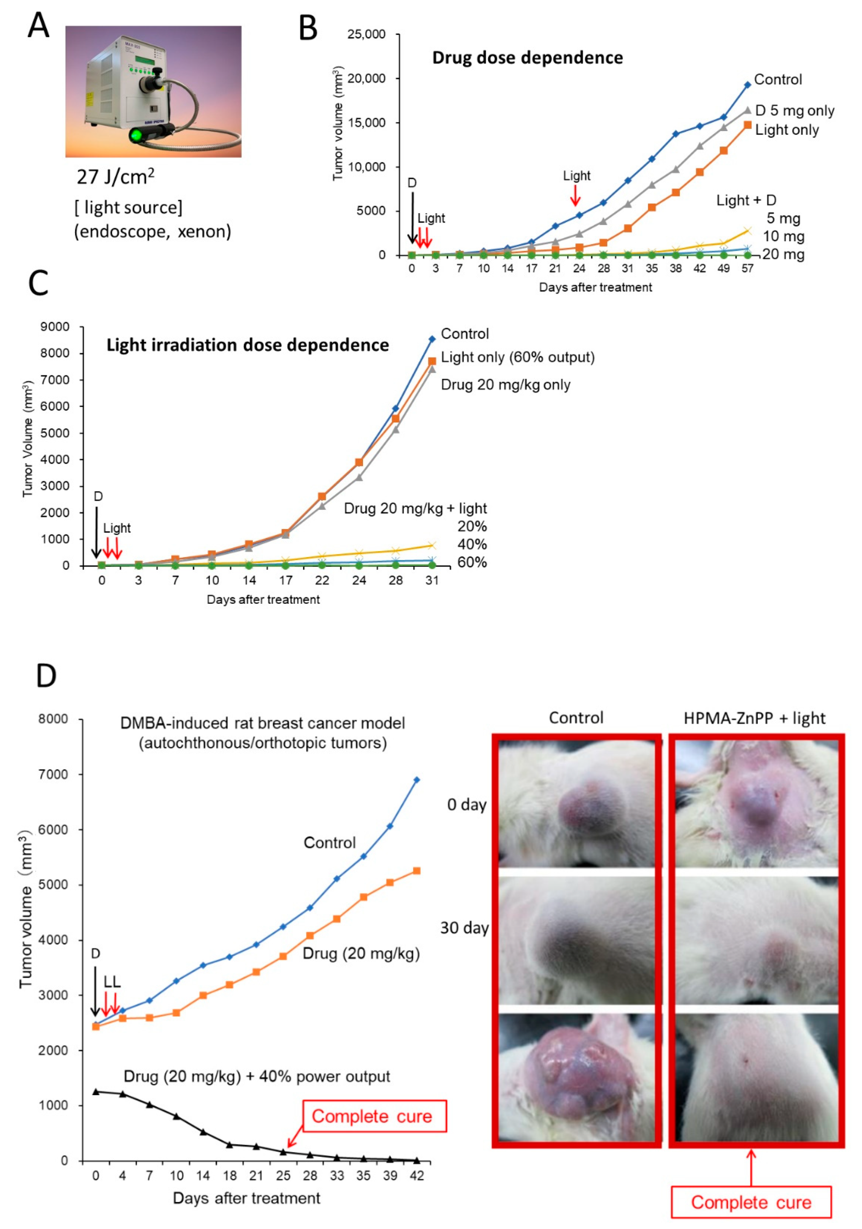 Jpm 11 00229 g005 Jpm 11 00229 g005