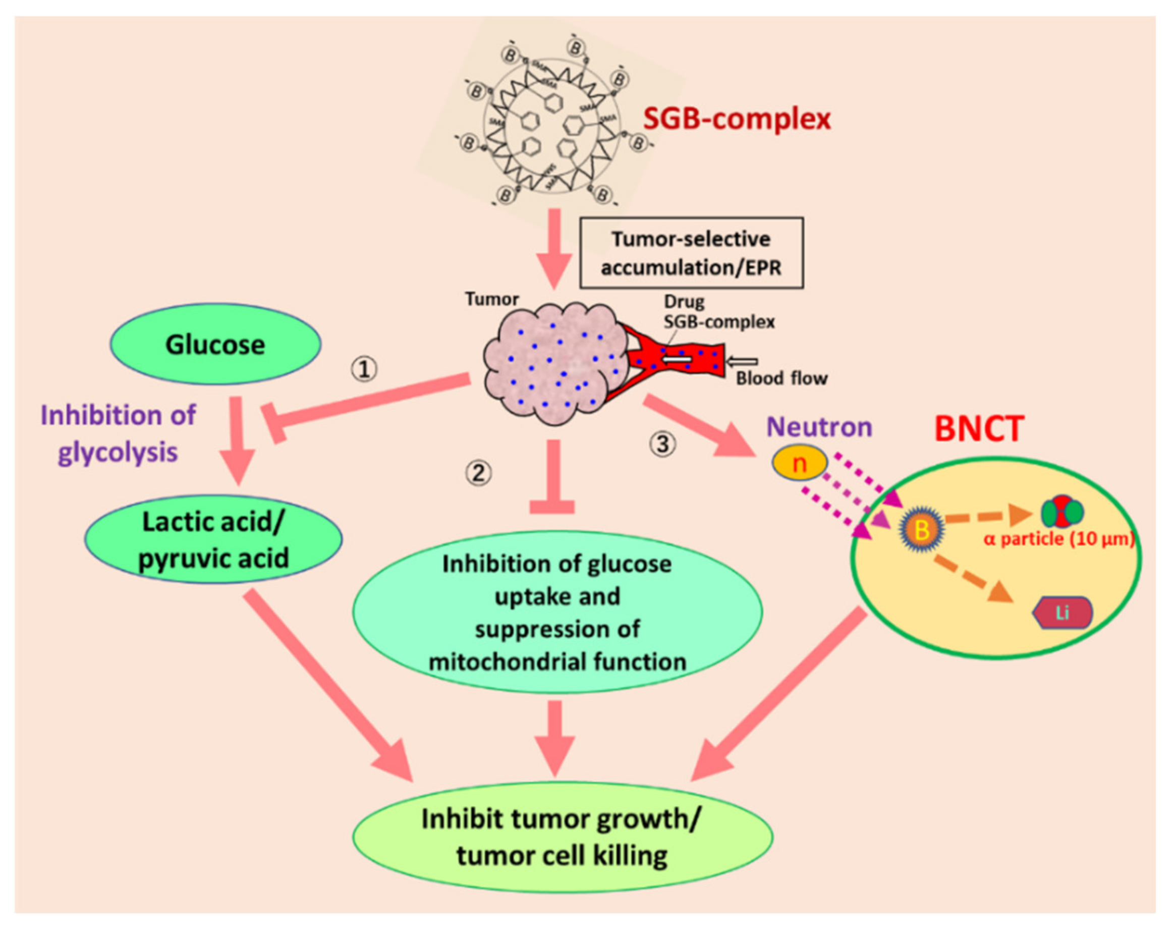Jpm 11 00229 g006 Jpm 11 00229 g006