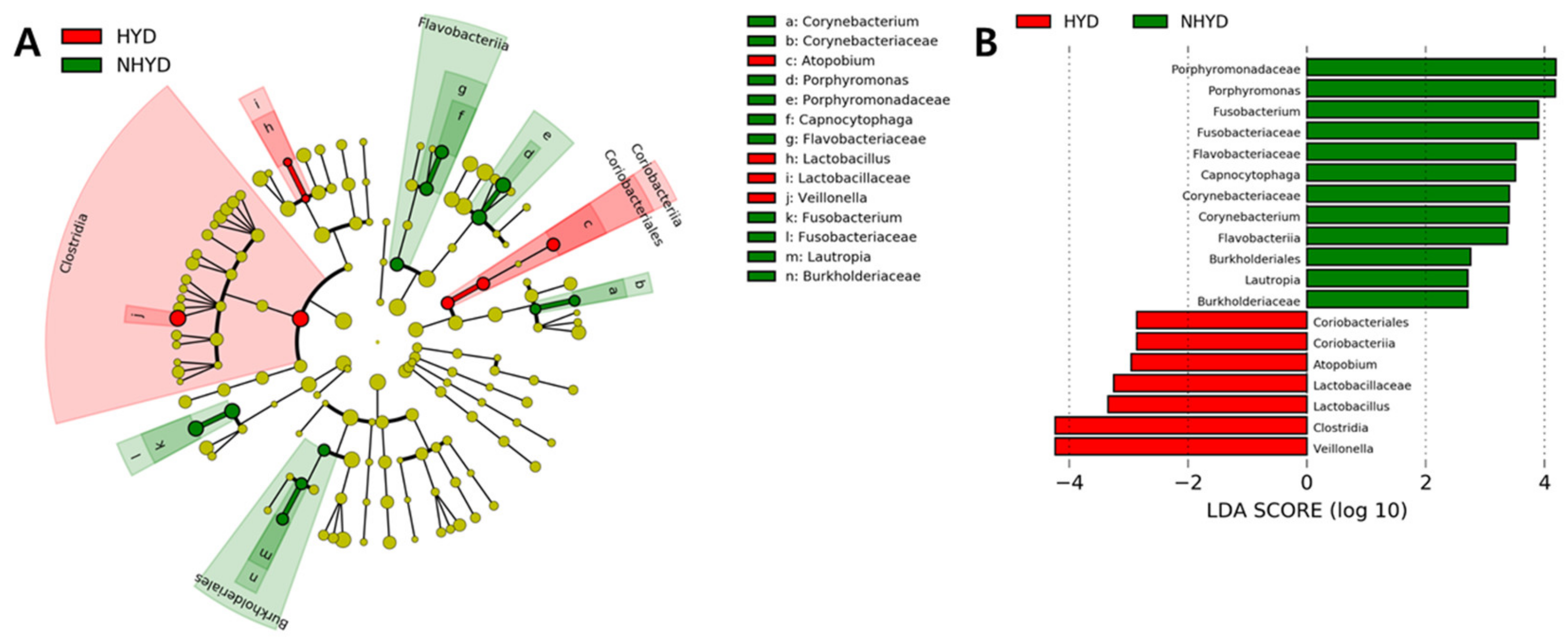 Jpm 11 00325 g004 Jpm 11 00325 g004
