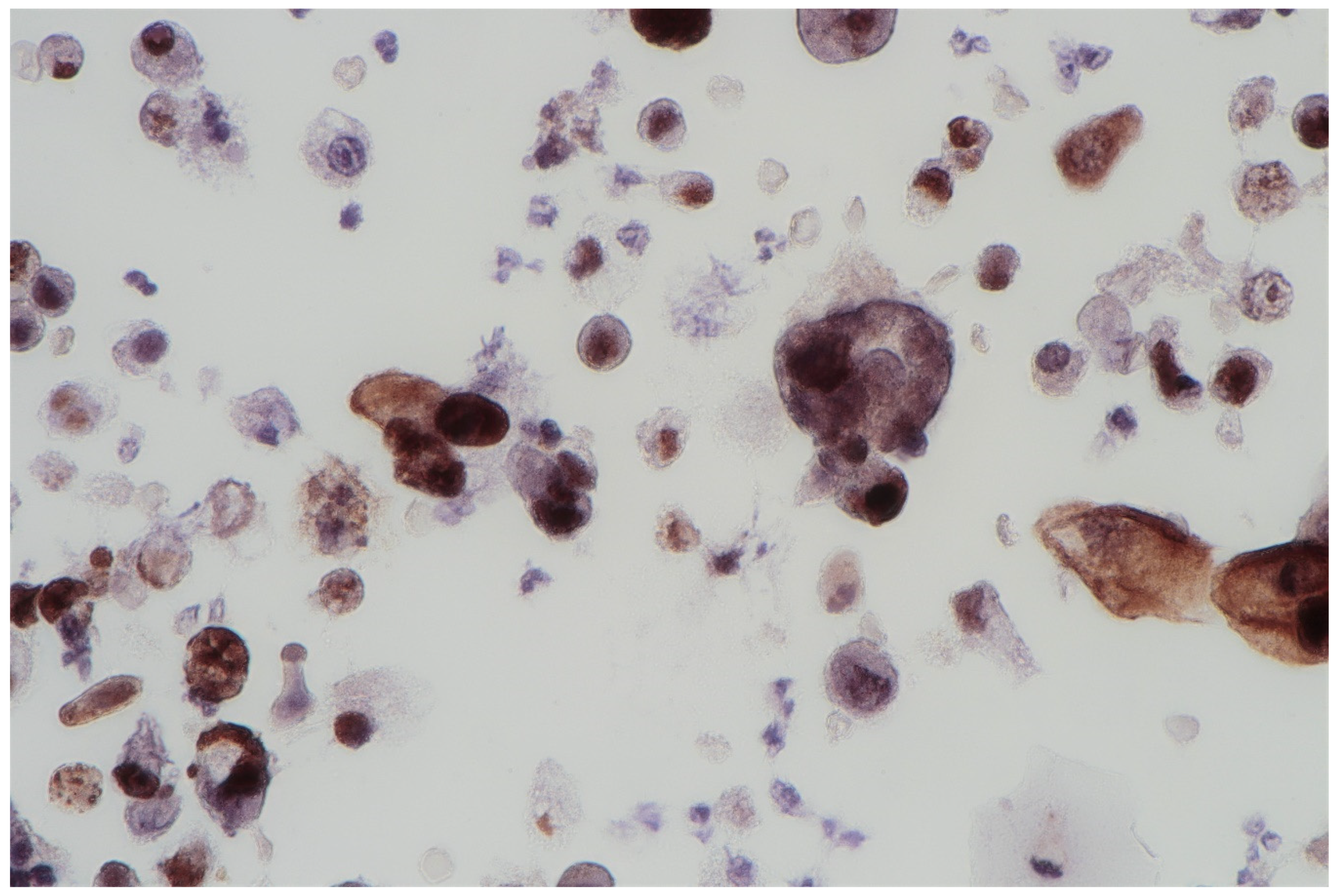 Jpm 11 00362 g002 Jpm 11 00362 g002