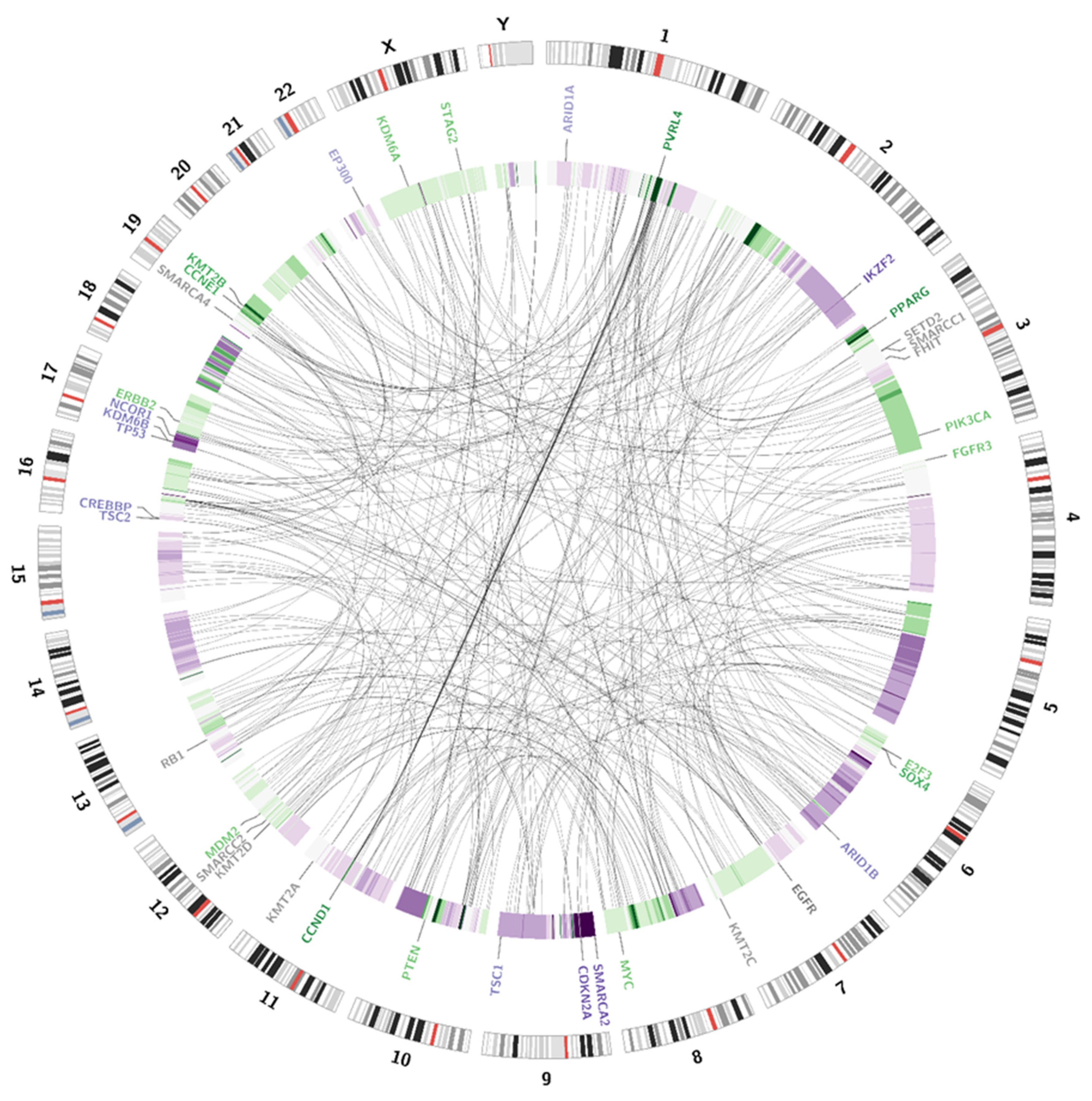 Jpm 11 00362 g003 Jpm 11 00362 g003