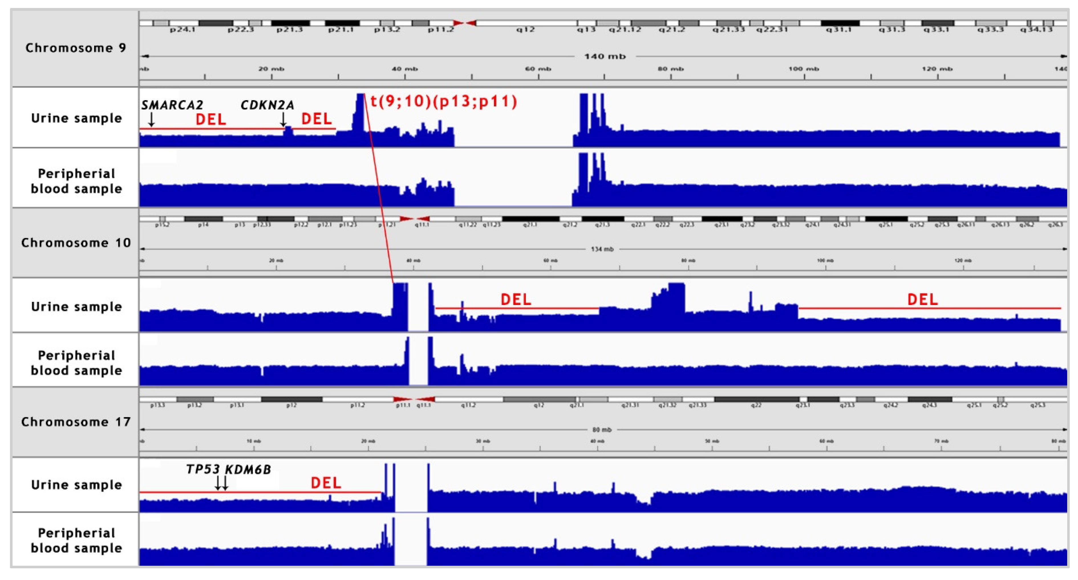 Jpm 11 00362 g004 Jpm 11 00362 g004
