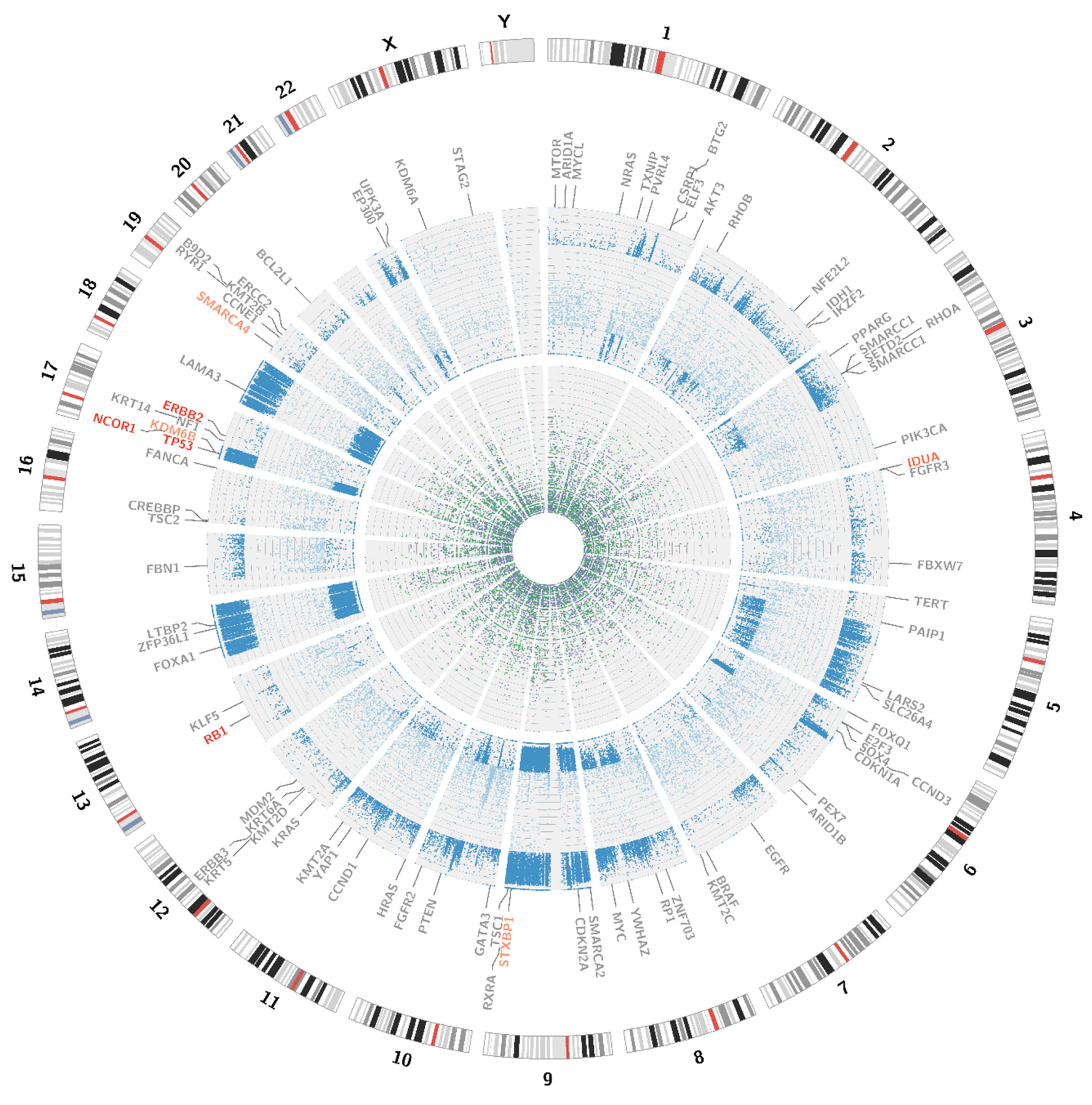 Jpm 11 00362 g005 Jpm 11 00362 g005