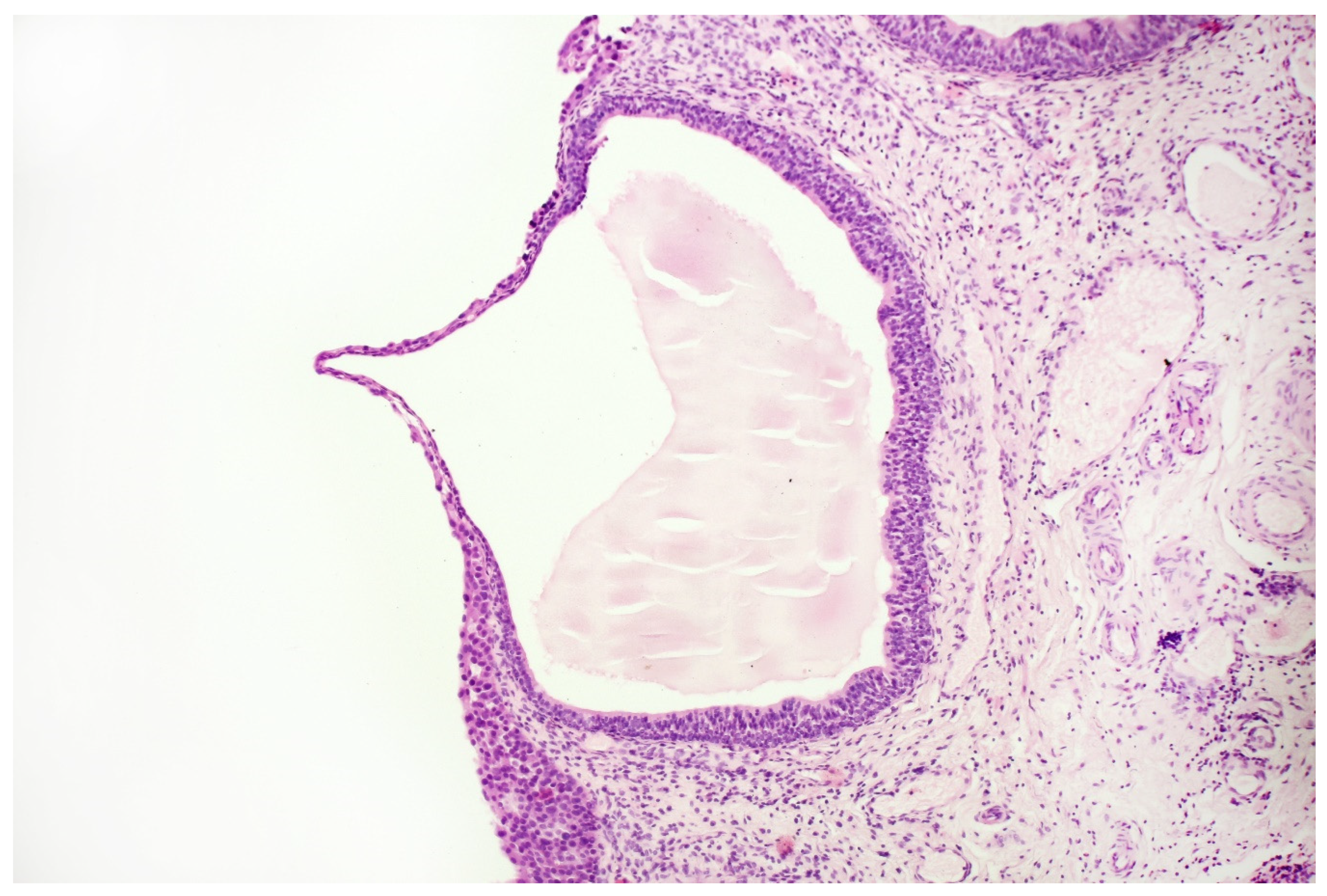 Jpm 11 00362 g007 Jpm 11 00362 g007