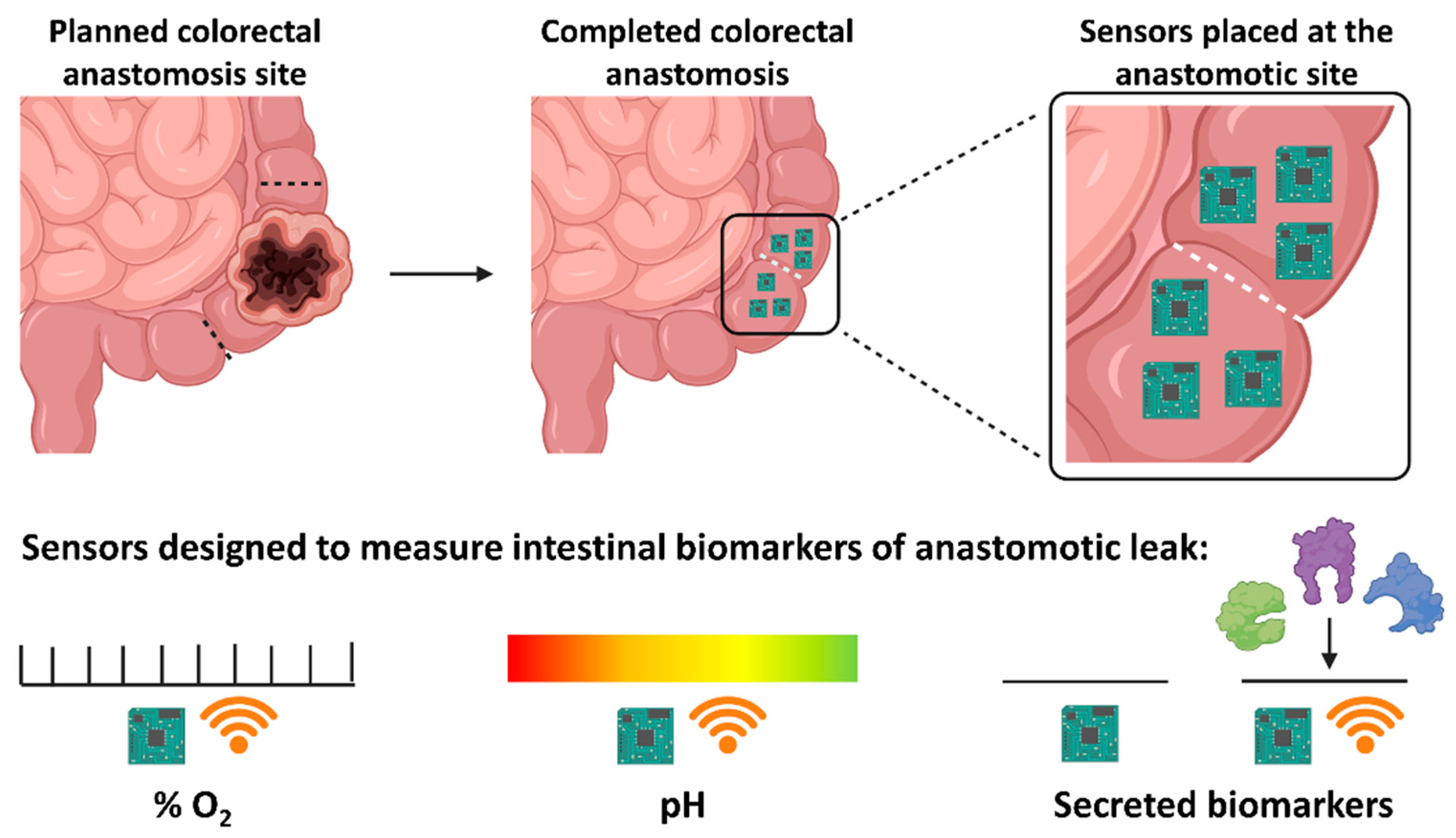 Jpm 11 00471 g002 Jpm 11 00471 g002
