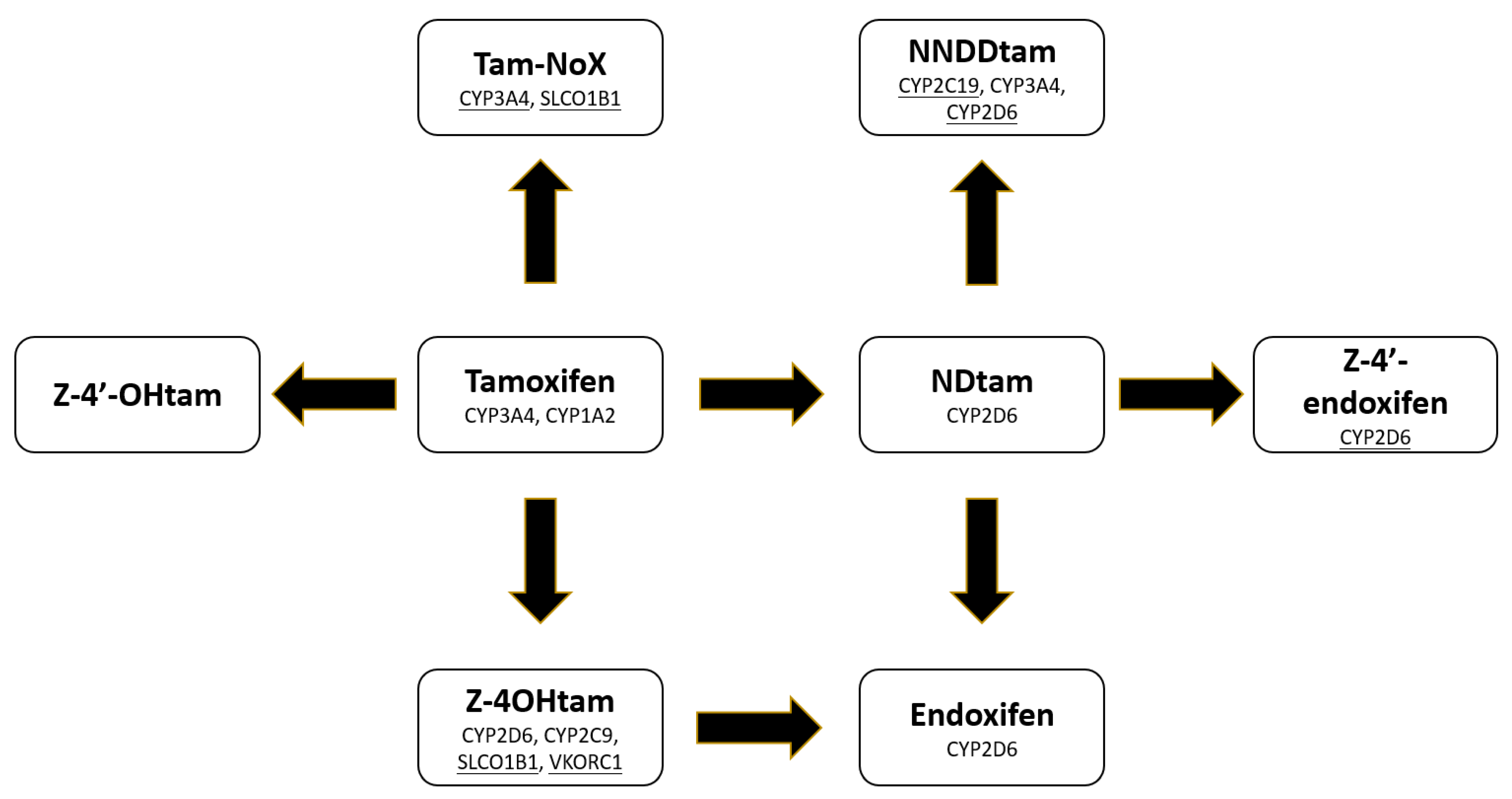 Jpm 11 00507 g002 Jpm 11 00507 g002