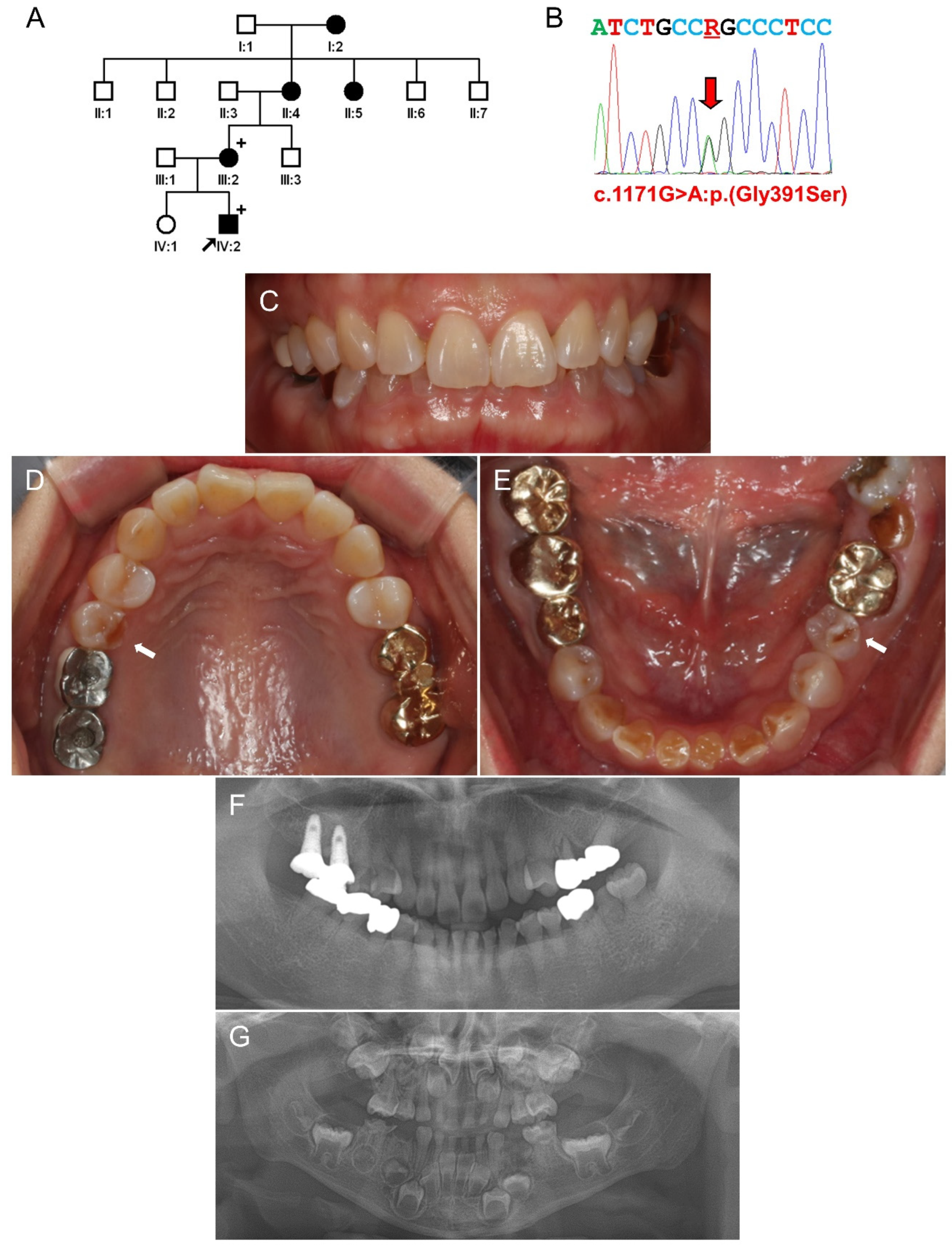 Jpm 11 00526 g003 Jpm 11 00526 g003