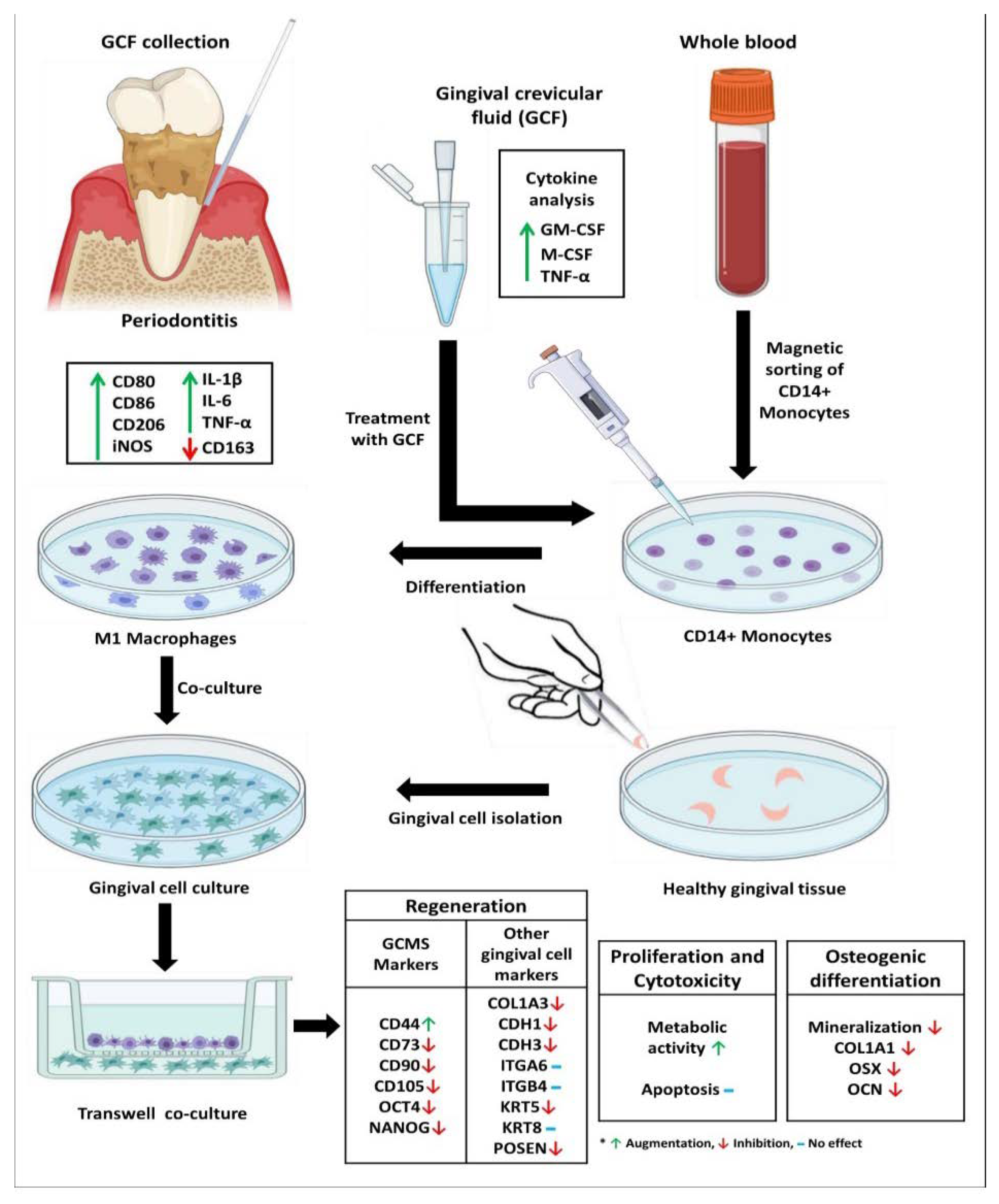 Jpm 11 00555 i001 Jpm 11 00555 i001