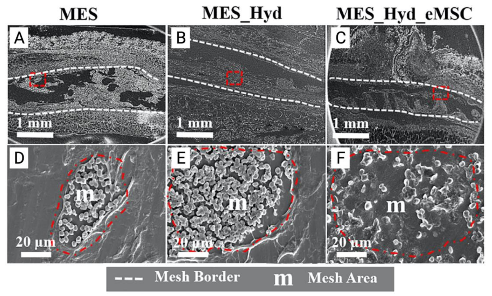 Jpm 11 00840 g007 Jpm 11 00840 g007