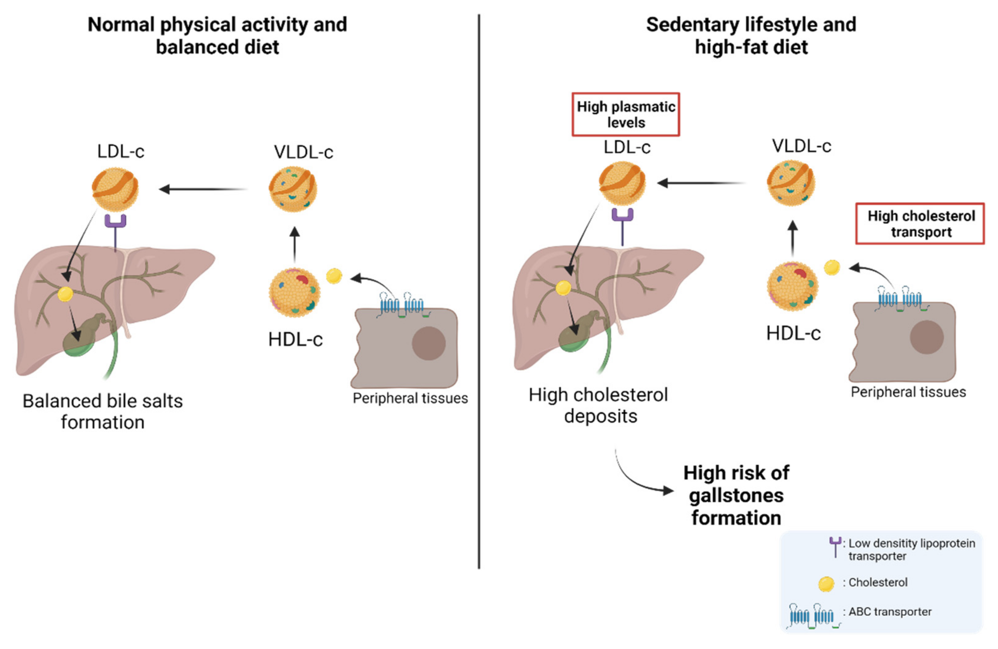 Jpm 12 00234 g002 Jpm 12 00234 g002