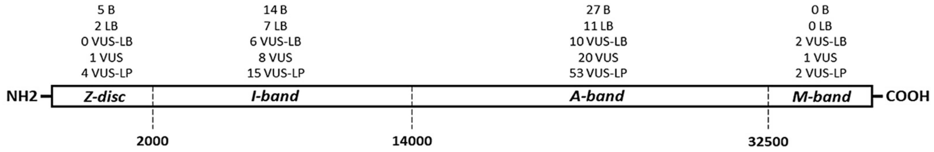 Jpm 12 00241 g002