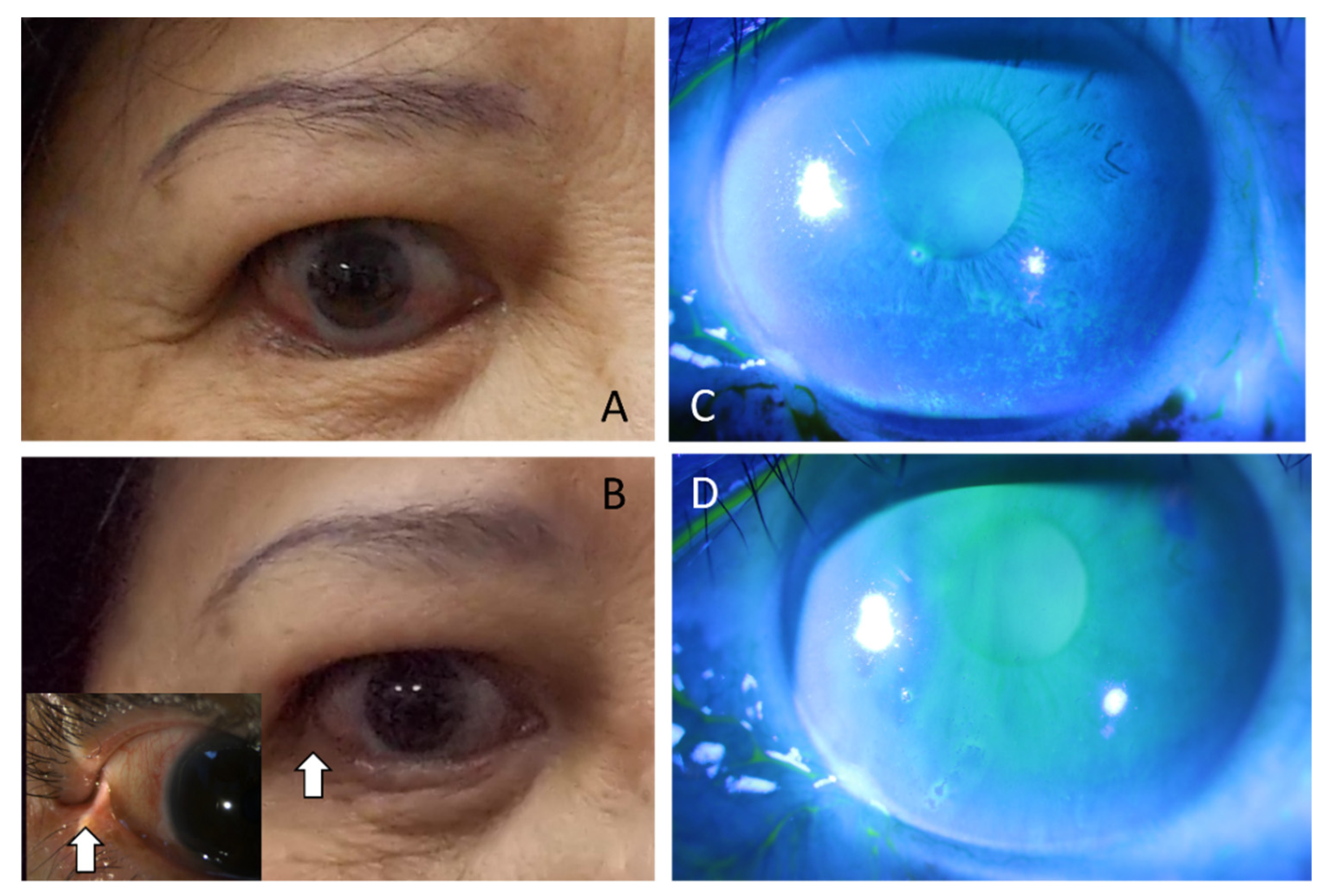 Jpm 12 00802 g002 Jpm 12 00802 g002