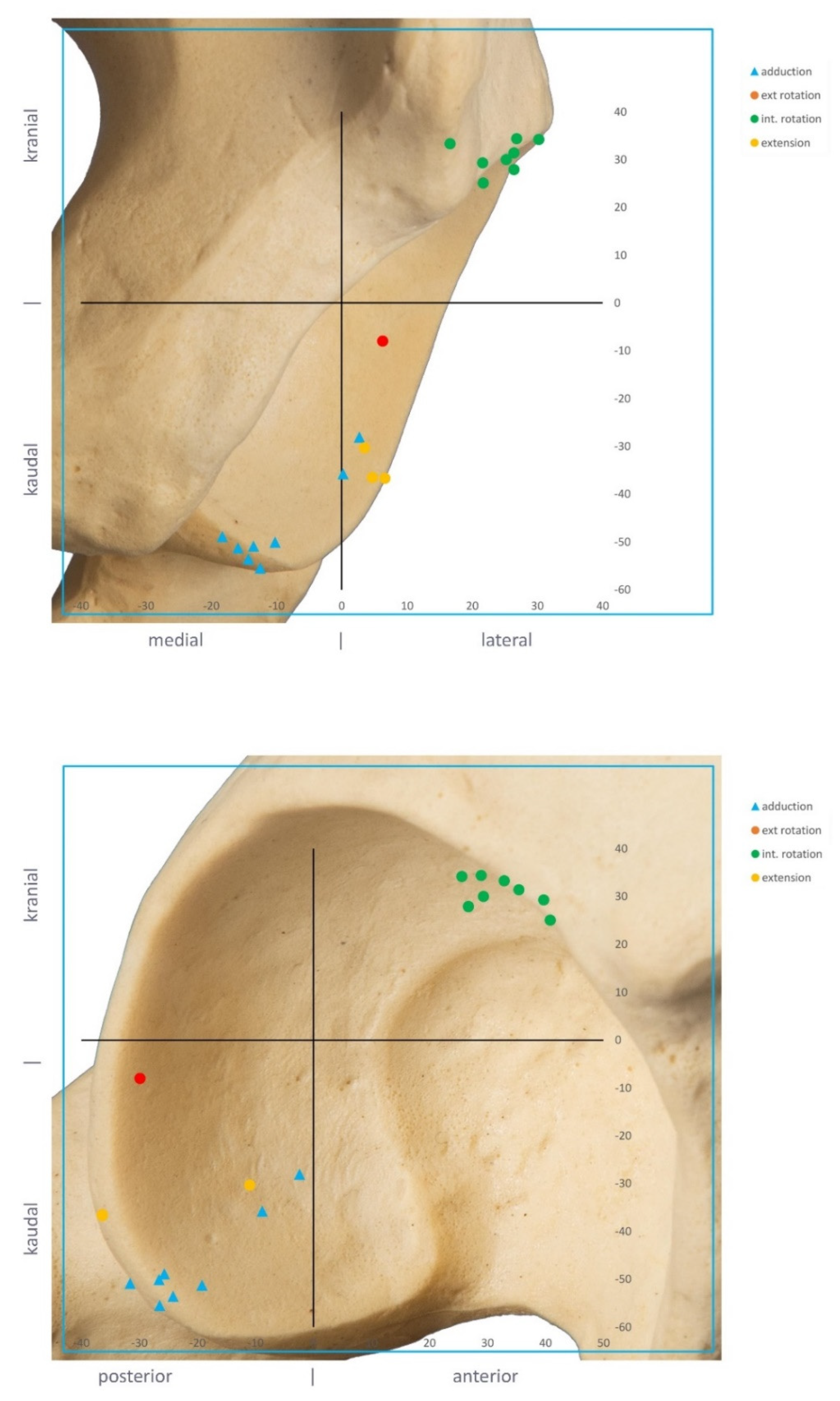 Jpm 12 00812 g004 Jpm 12 00812 g004