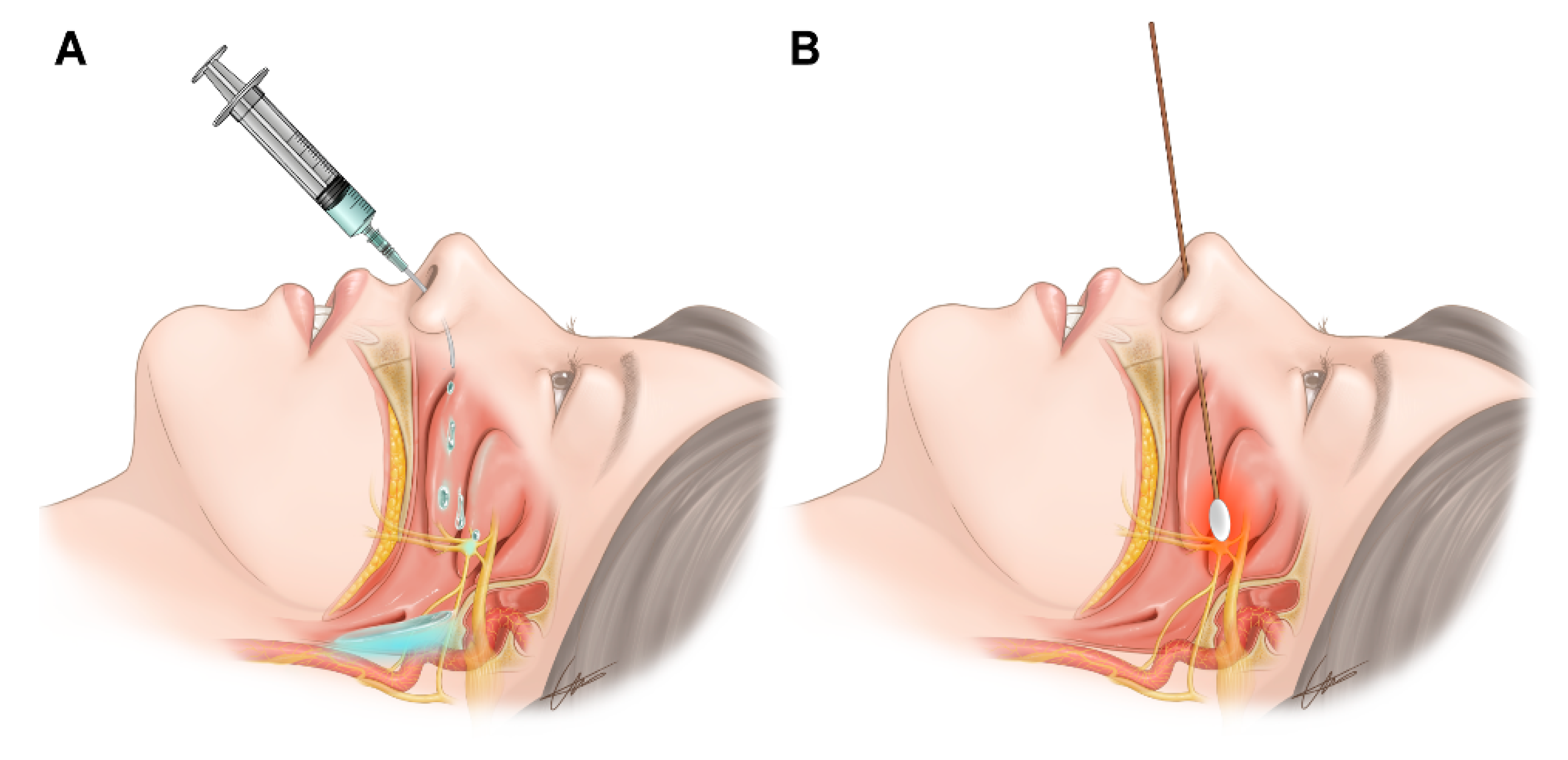 Jpm 12 00830 g001 Jpm 12 00830 g001