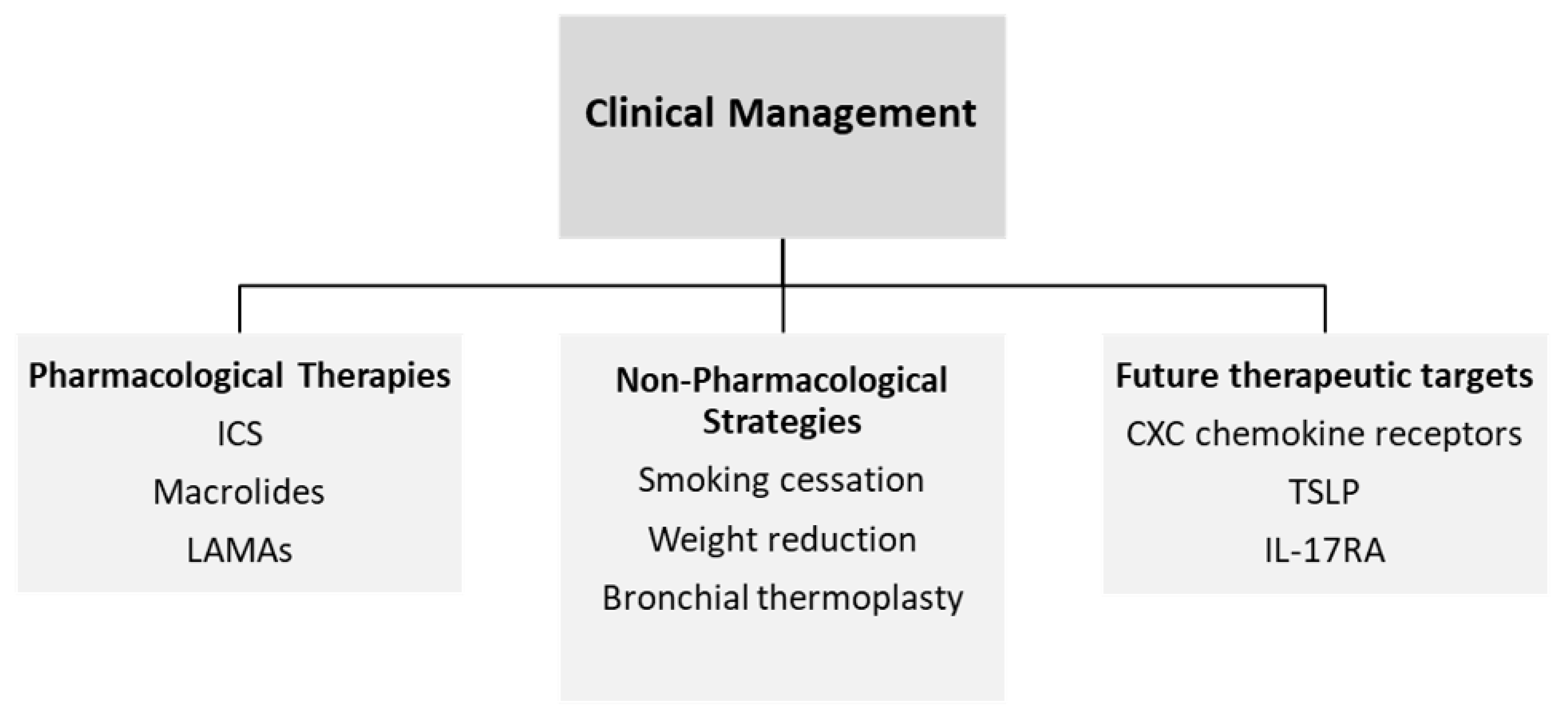 Jpm 12 00850 g002 Jpm 12 00850 g002