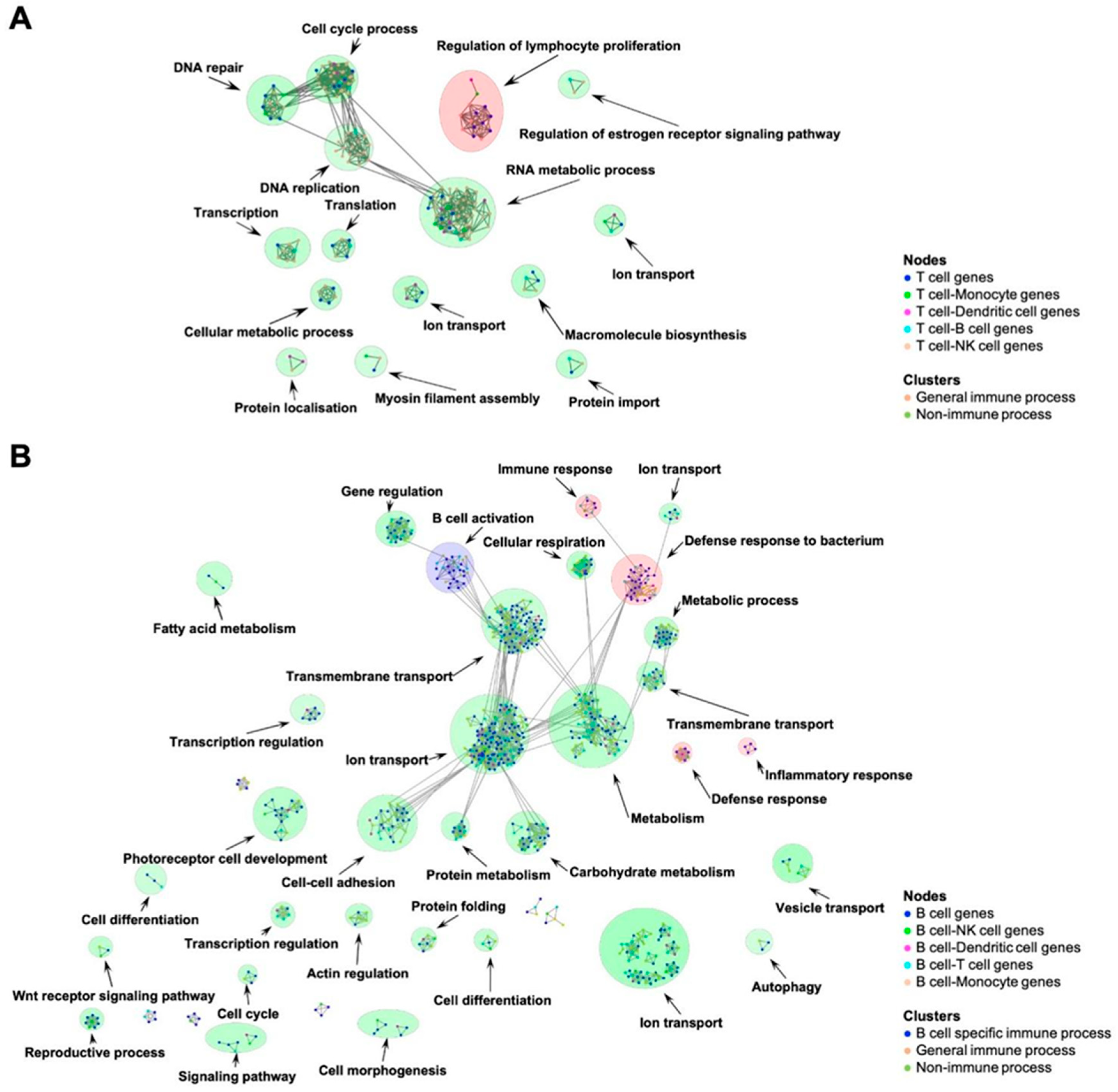 Jpm 12 00958 g002 Jpm 12 00958 g002