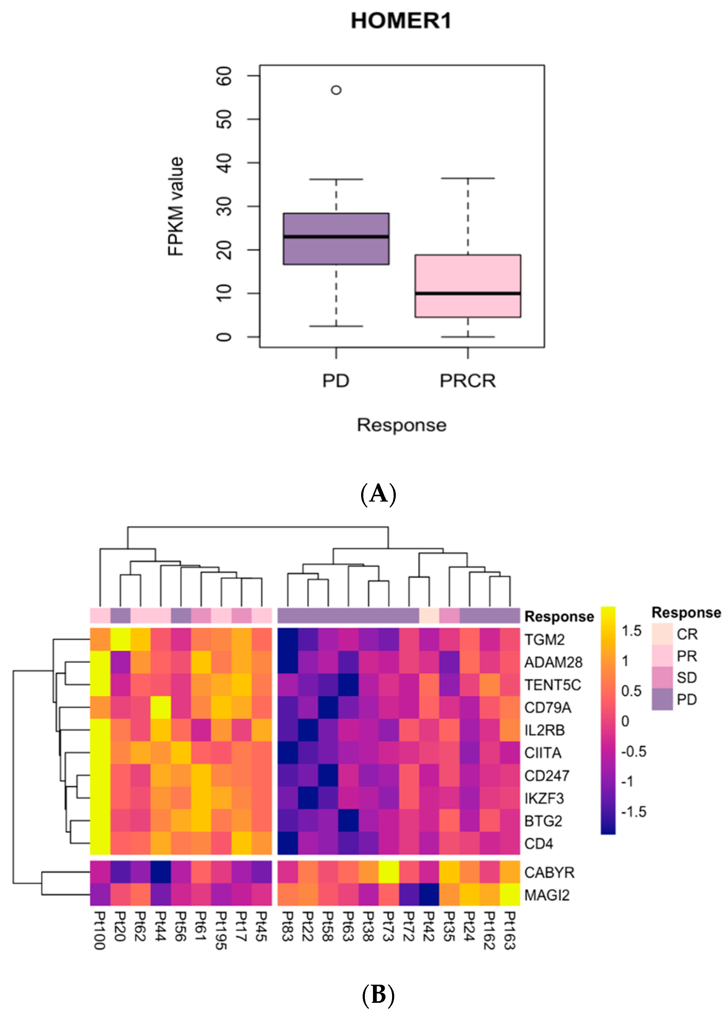 Jpm 12 00958 g004 Jpm 12 00958 g004