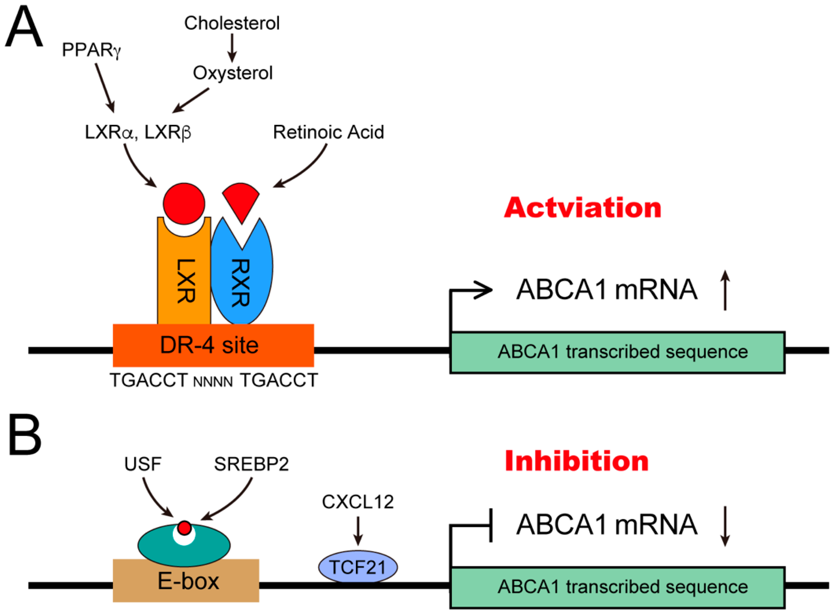 Jpm 12 01010 g001 Jpm 12 01010 g001