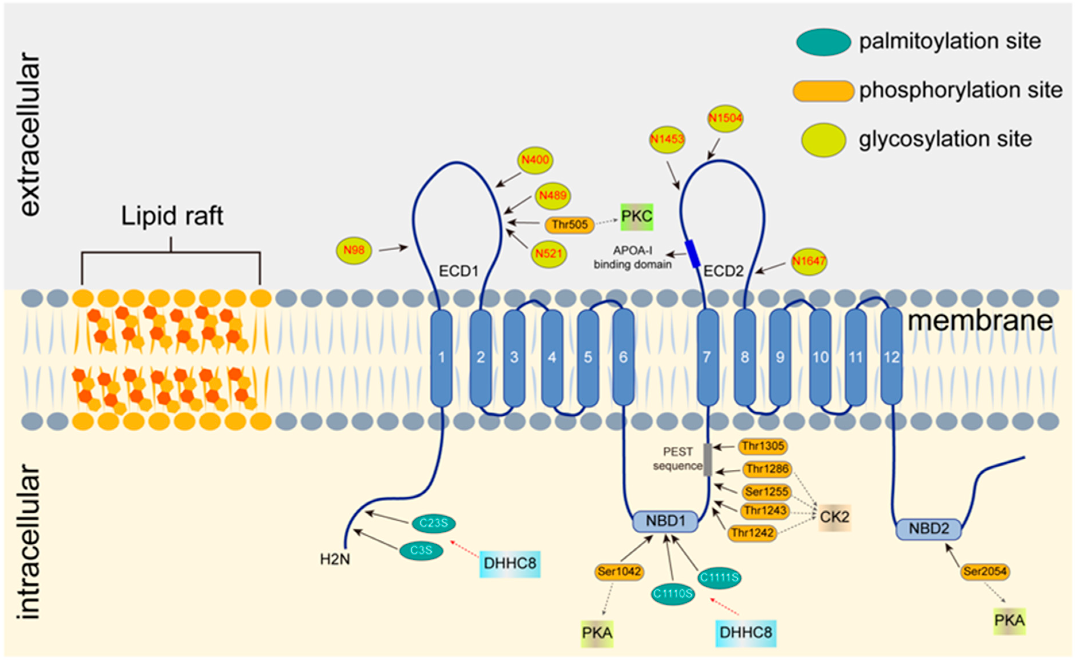 Jpm 12 01010 g002 Jpm 12 01010 g002