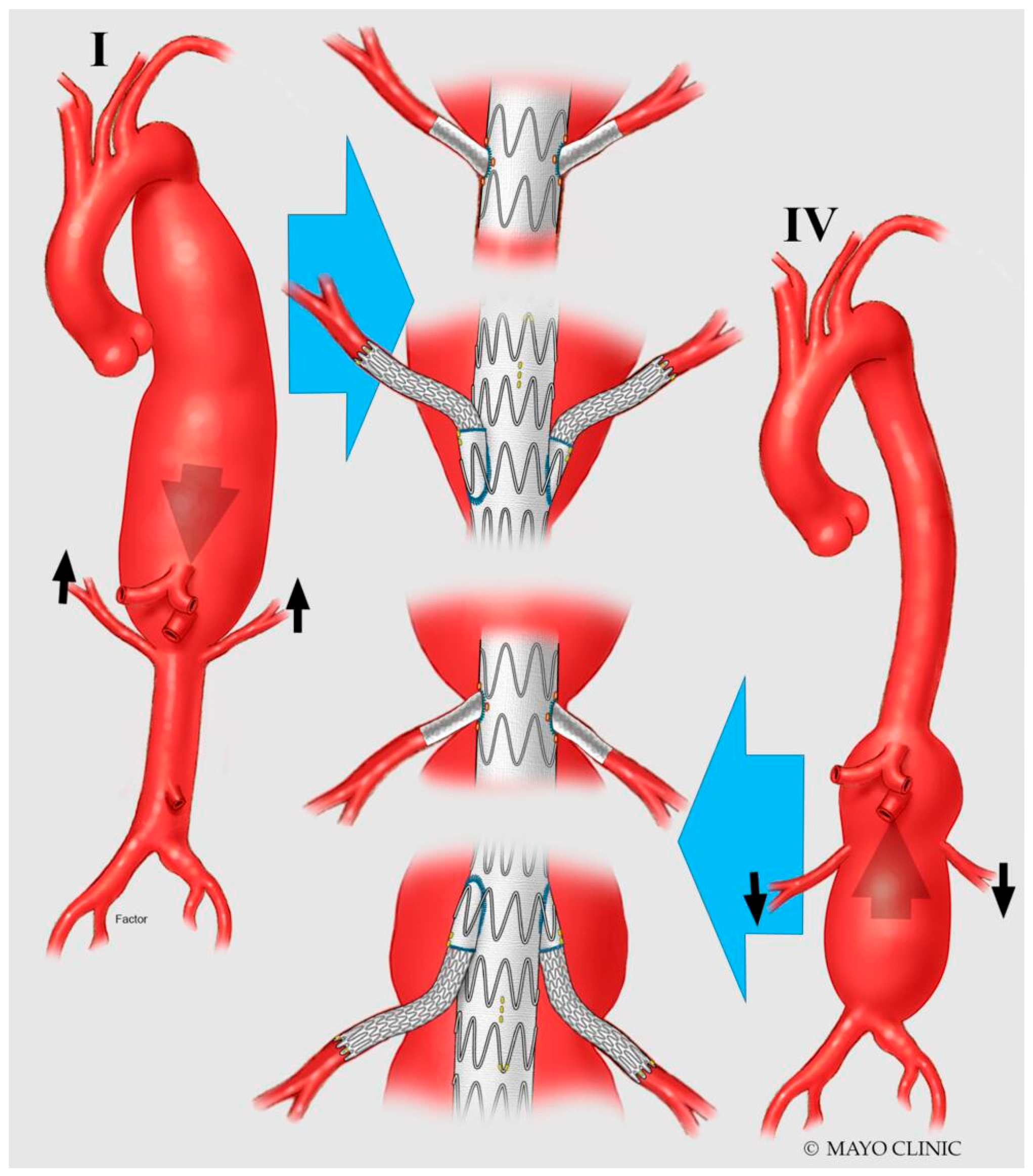 Jpm 12 01018 g002 Jpm 12 01018 g002