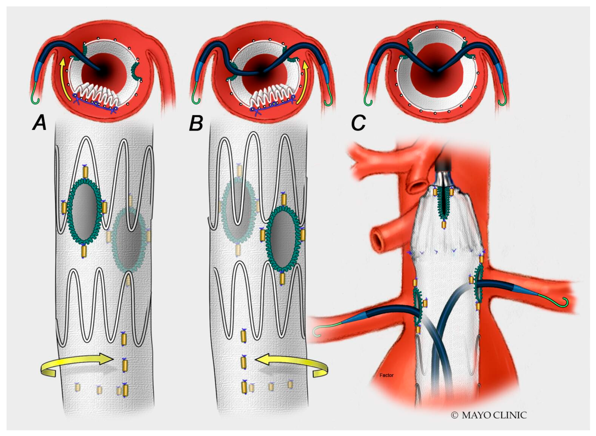 Jpm 12 01018 g006 Jpm 12 01018 g006
