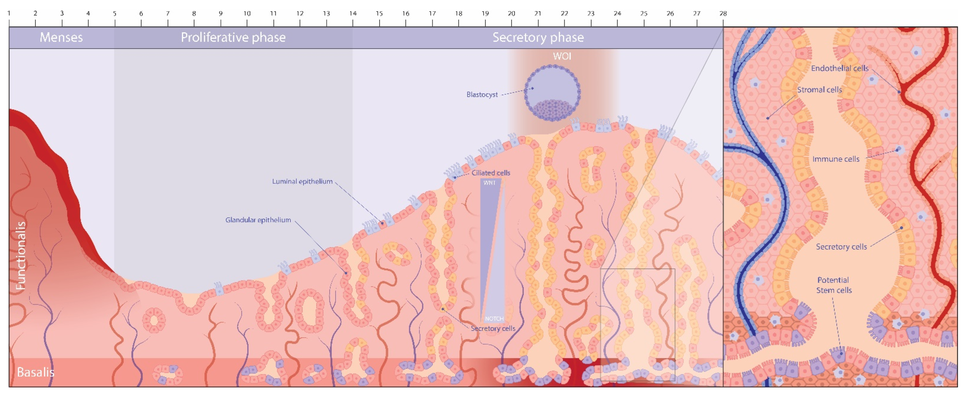 Jpm 12 01048 g001 Jpm 12 01048 g001