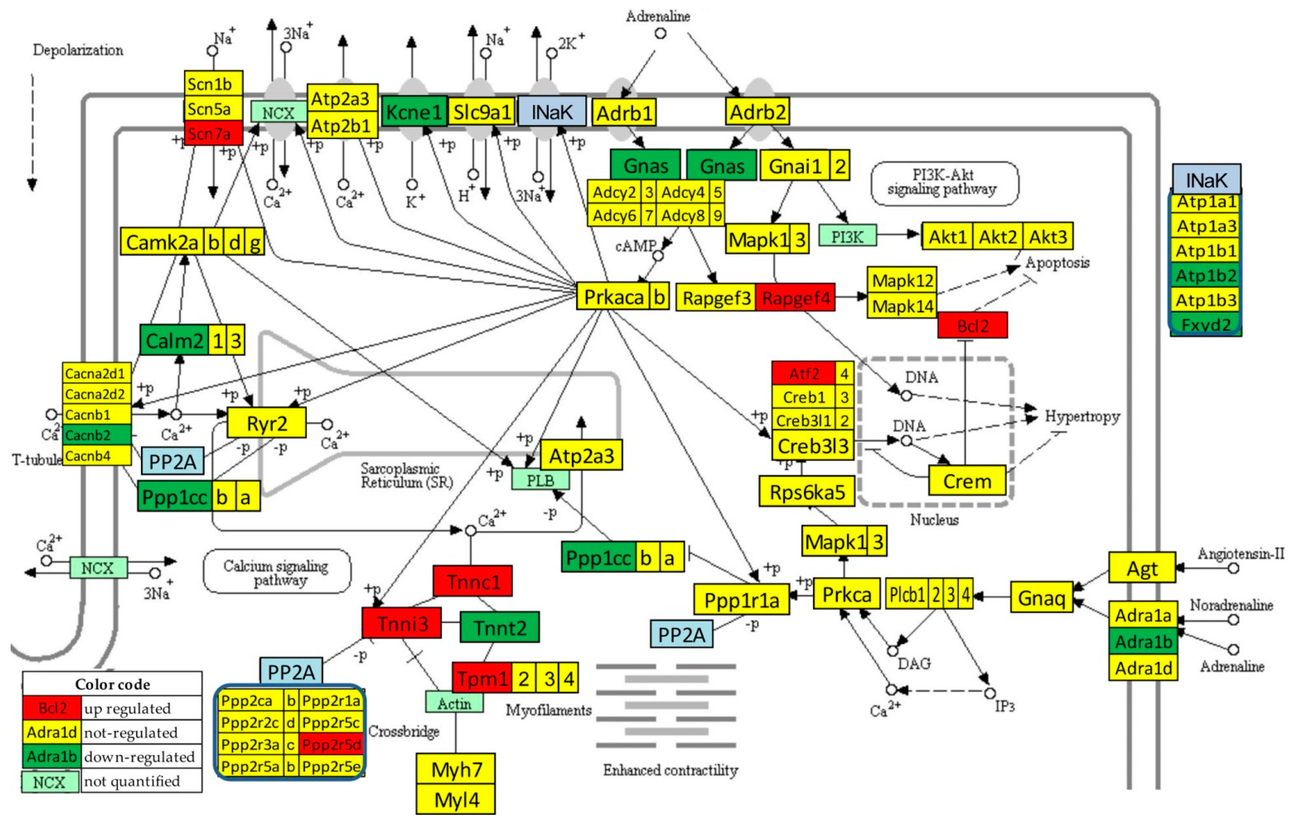 Jpm 12 01246 g004 Jpm 12 01246 g004