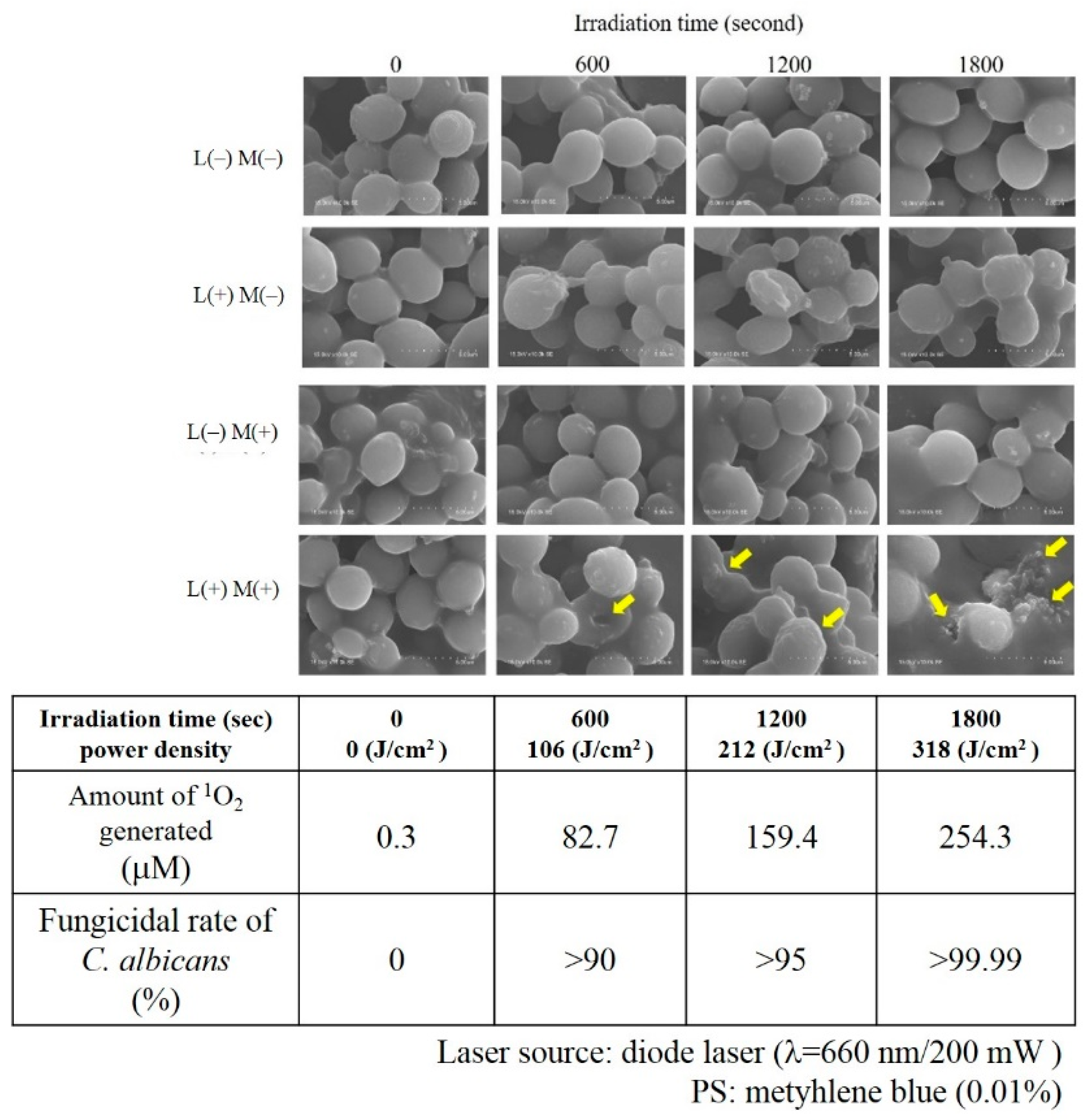 Jpm 12 01531 g006