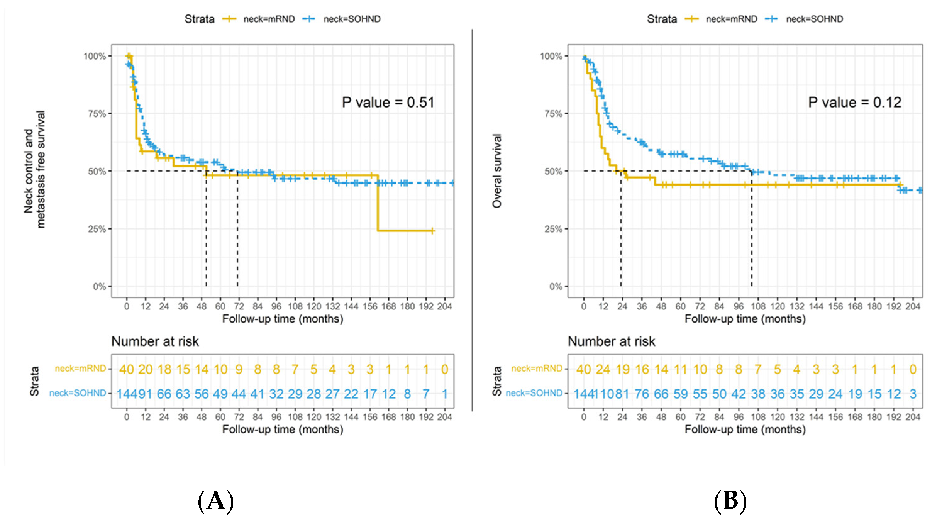Jpm 12 01535 g001 Jpm 12 01535 g001
