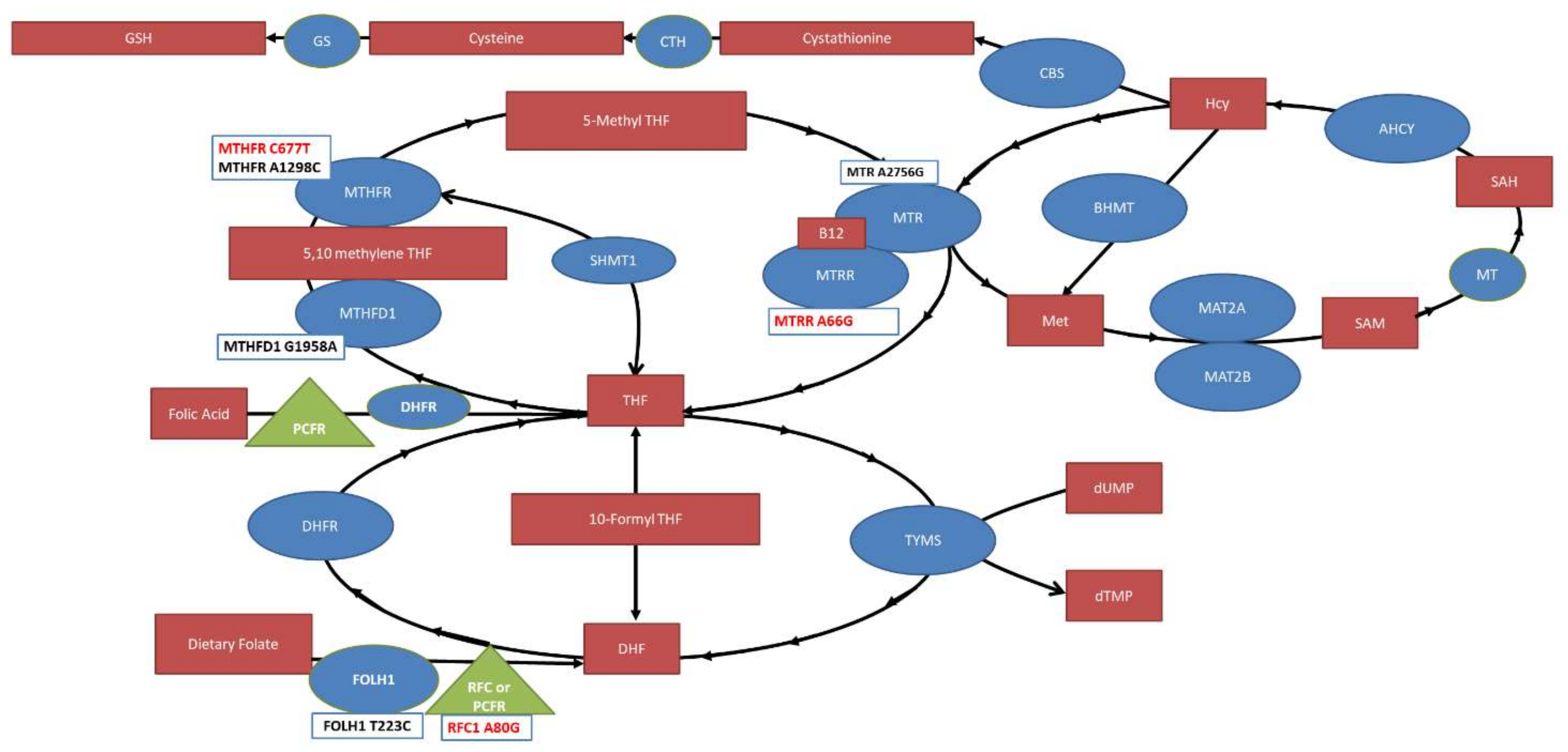Jpm 12 01609 g006 Jpm 12 01609 g006