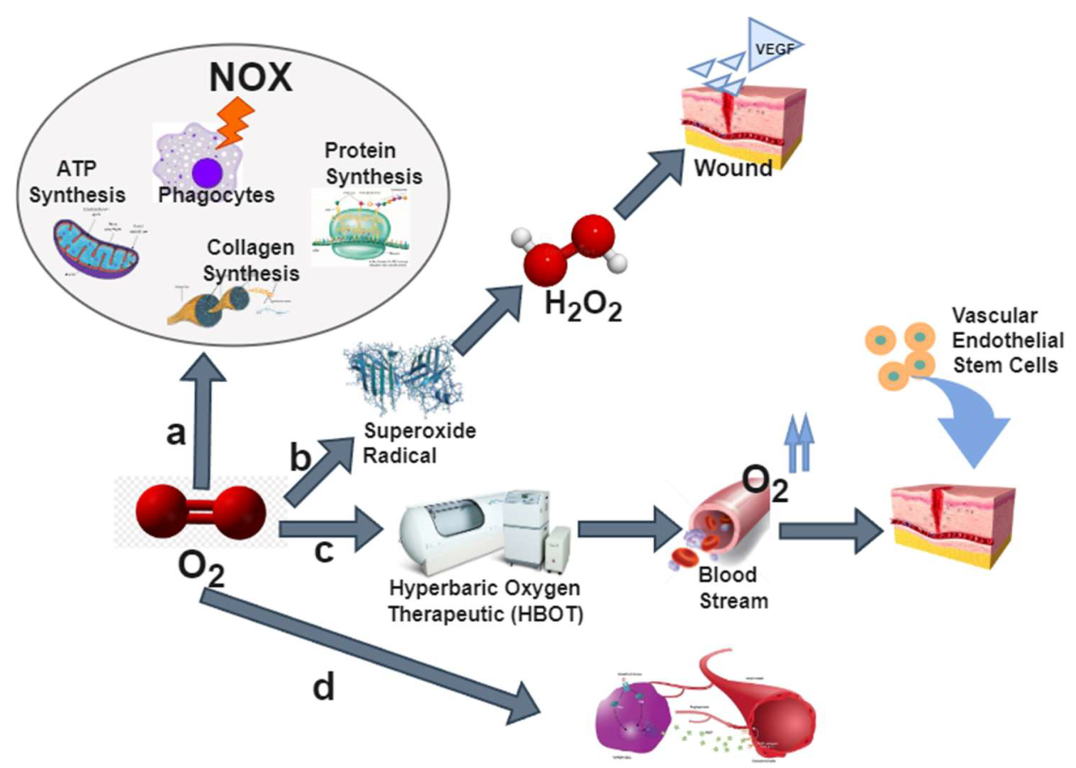 Jpm 12 01659 g001 Jpm 12 01659 g001