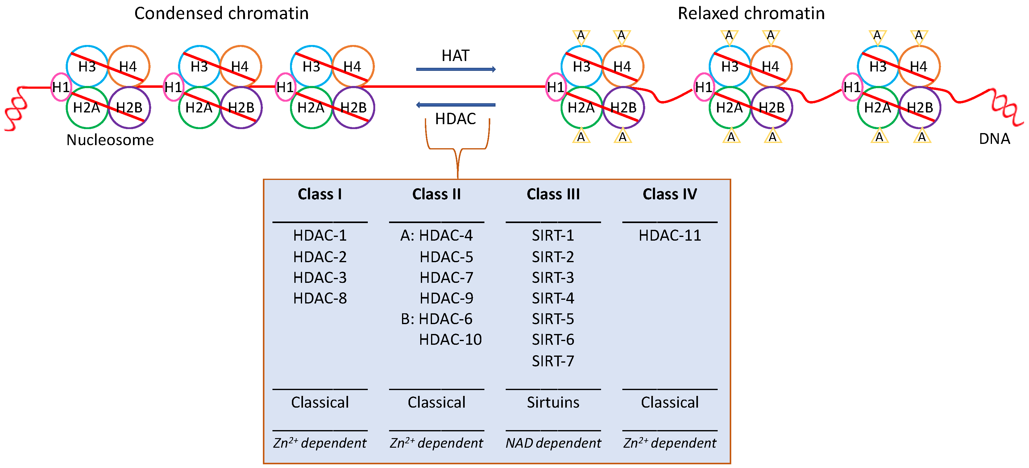 Jpm 12 01672 g001 Jpm 12 01672 g001