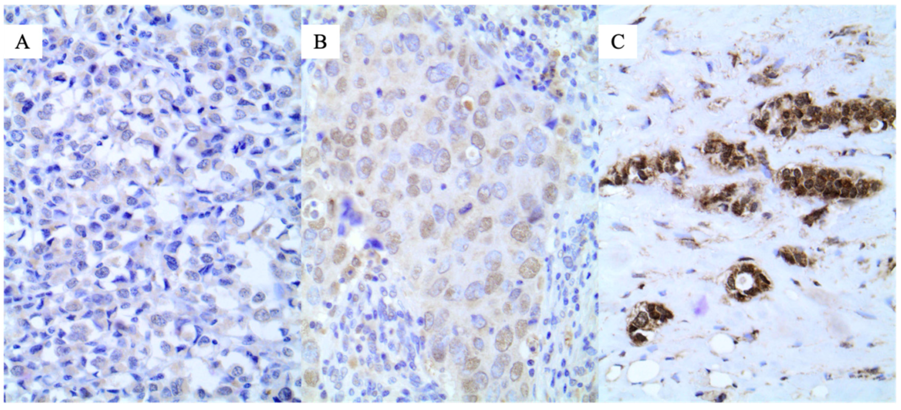 Jpm 12 01672 g002 Jpm 12 01672 g002