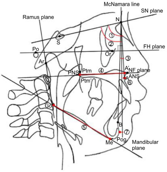 Jpm 12 01741 g005 550