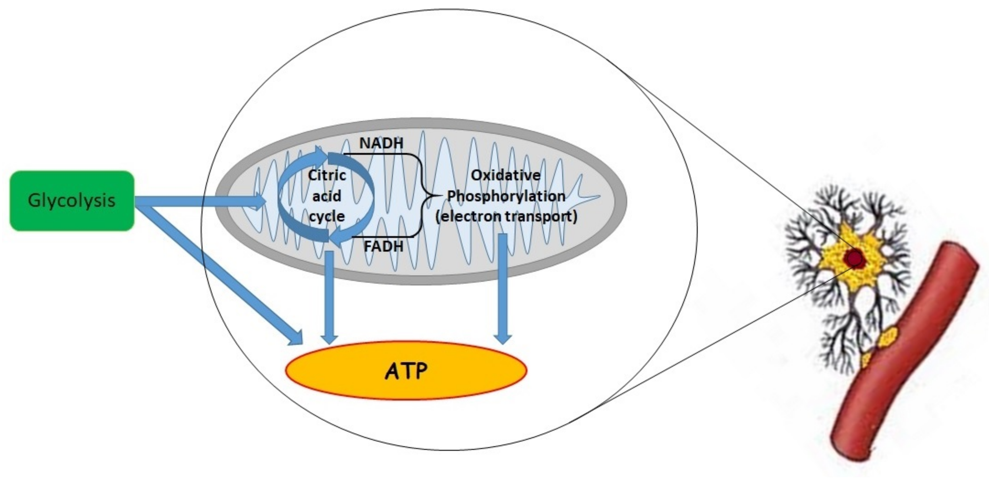 Jpm 12 01763 g001 Jpm 12 01763 g001