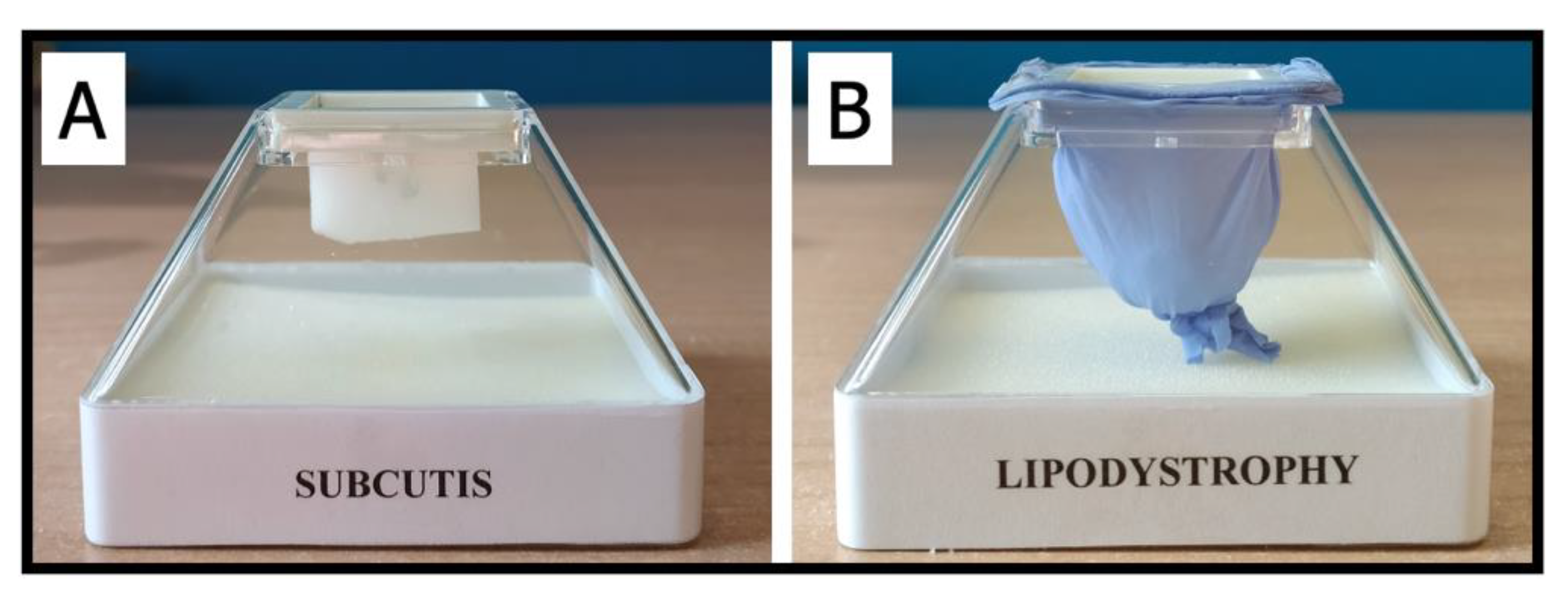 Jpm 12 01865 g002 Jpm 12 01865 g002