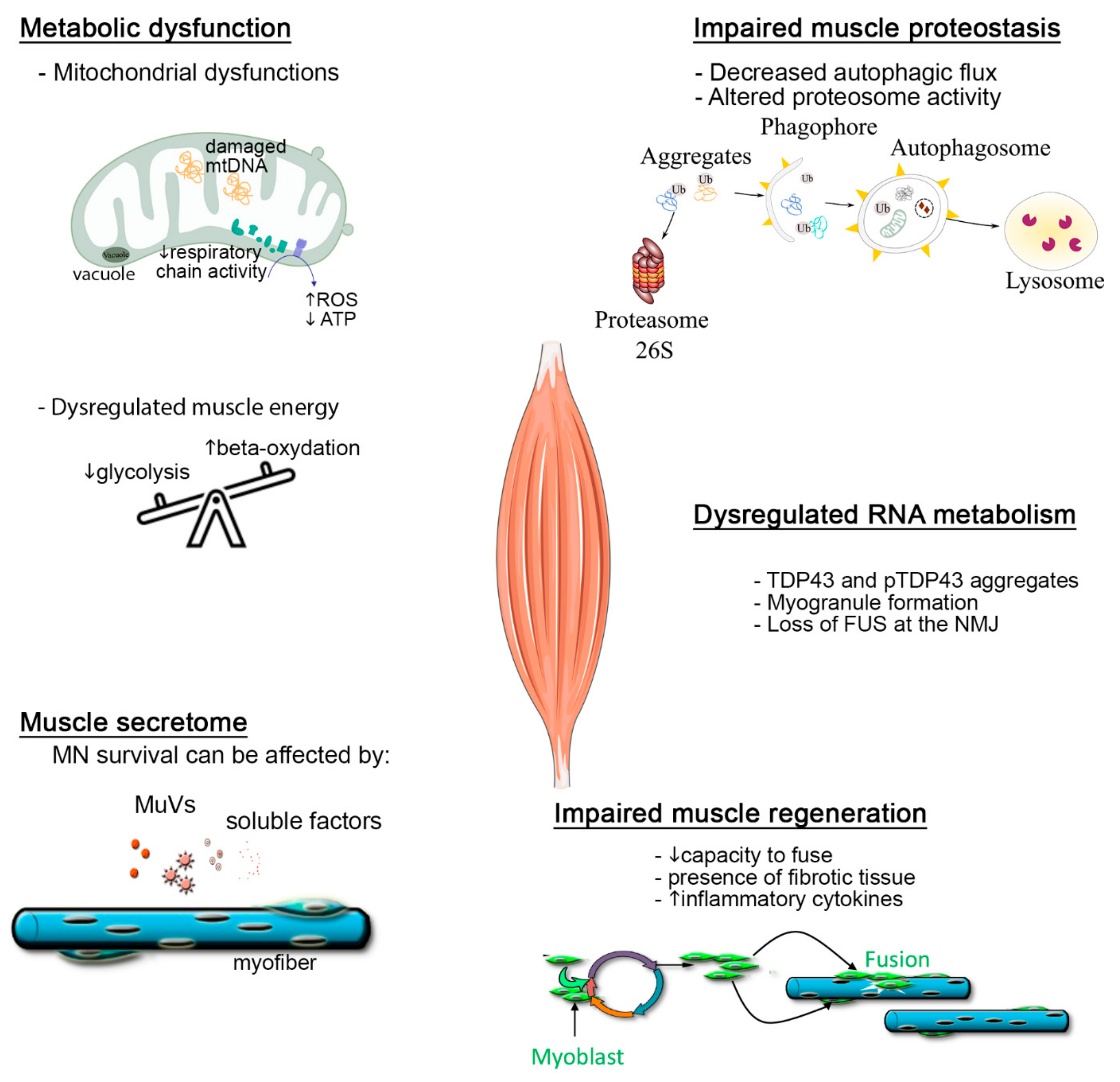 Jpm 12 01868 g001 Jpm 12 01868 g001