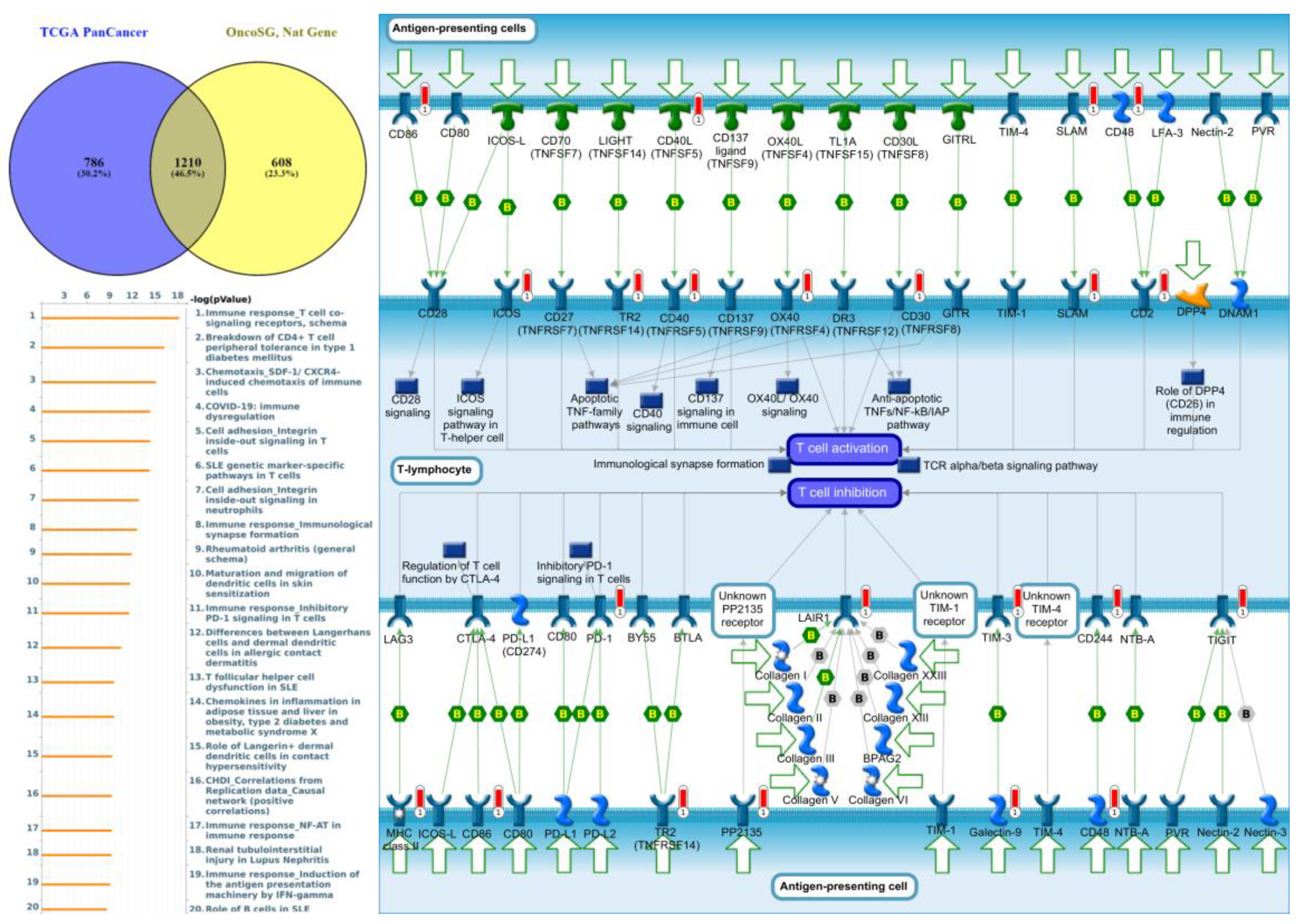 Jpm 12 01947 g009 Jpm 12 01947 g009