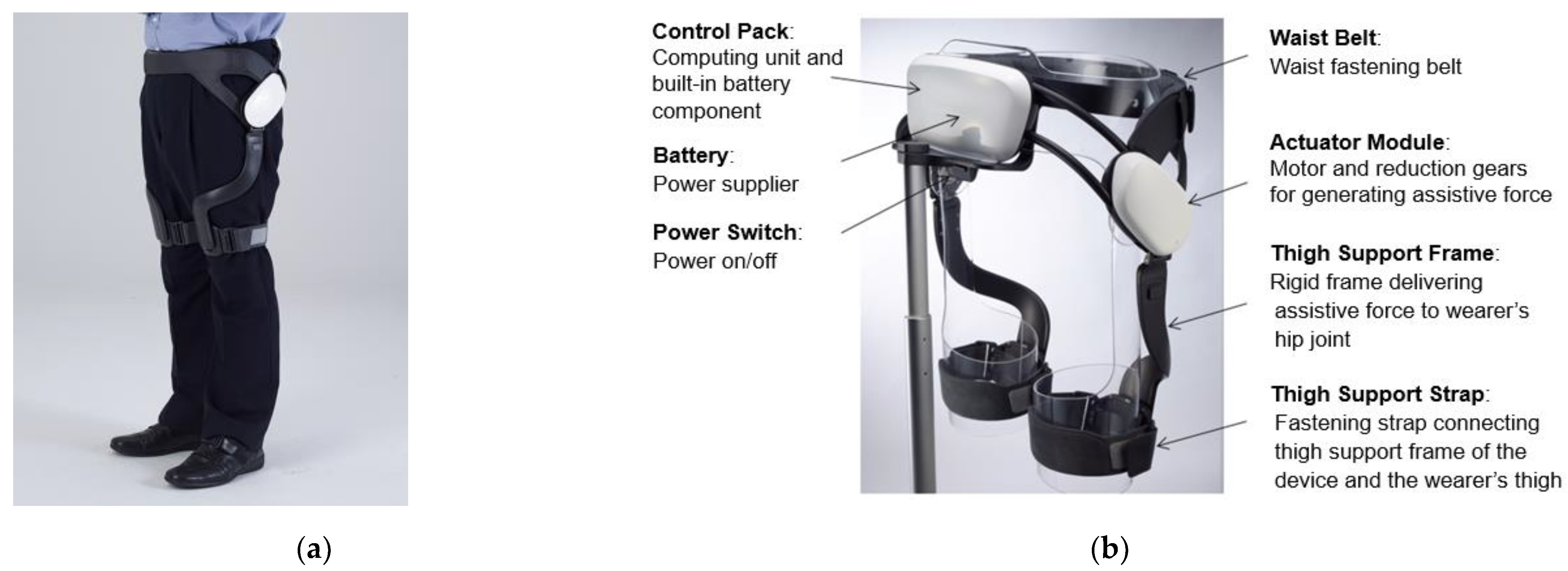 Jpm 12 02077 g001 Jpm 12 02077 g001