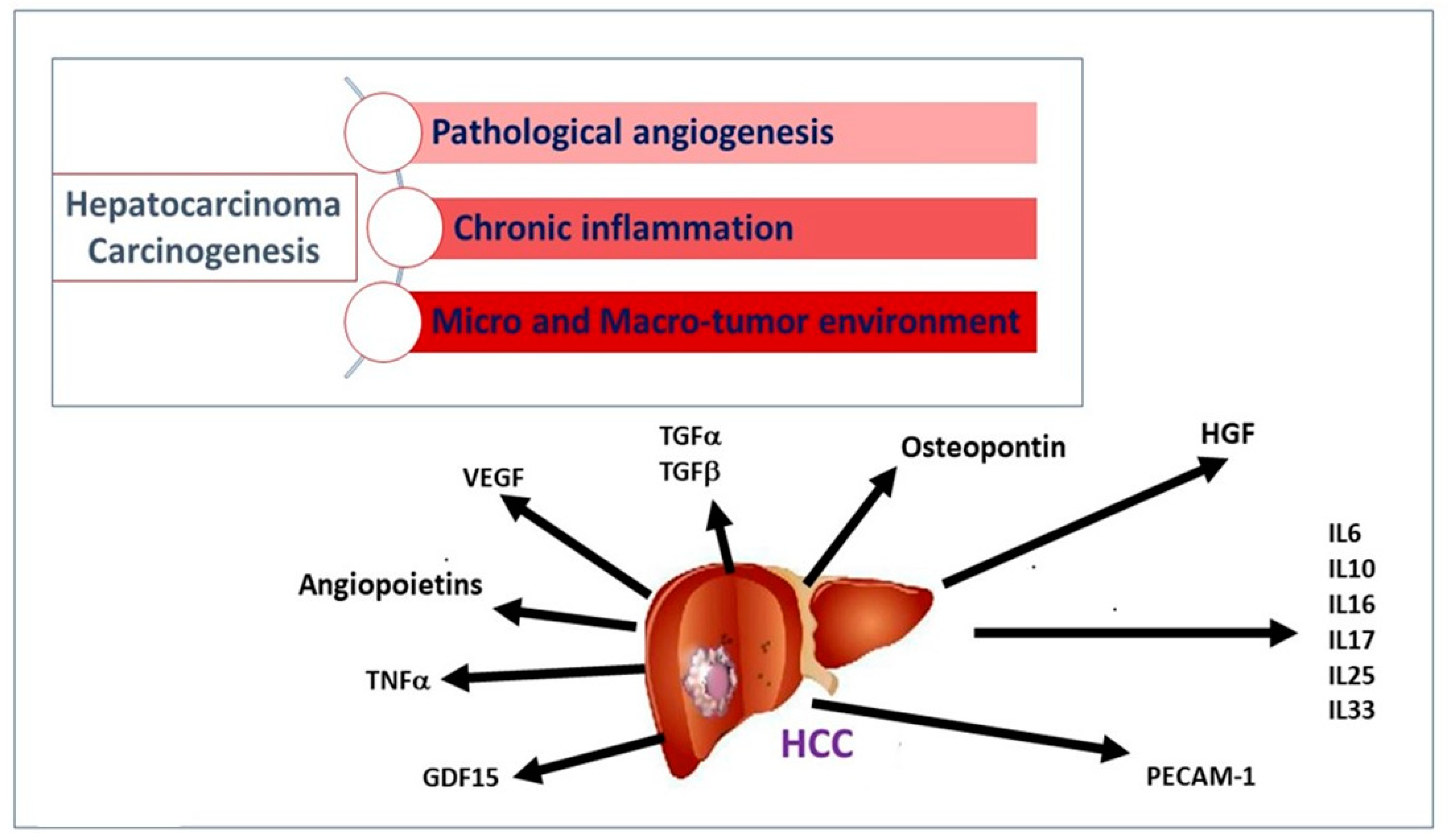 Jpm 13 00005 g001 Jpm 13 00005 g001