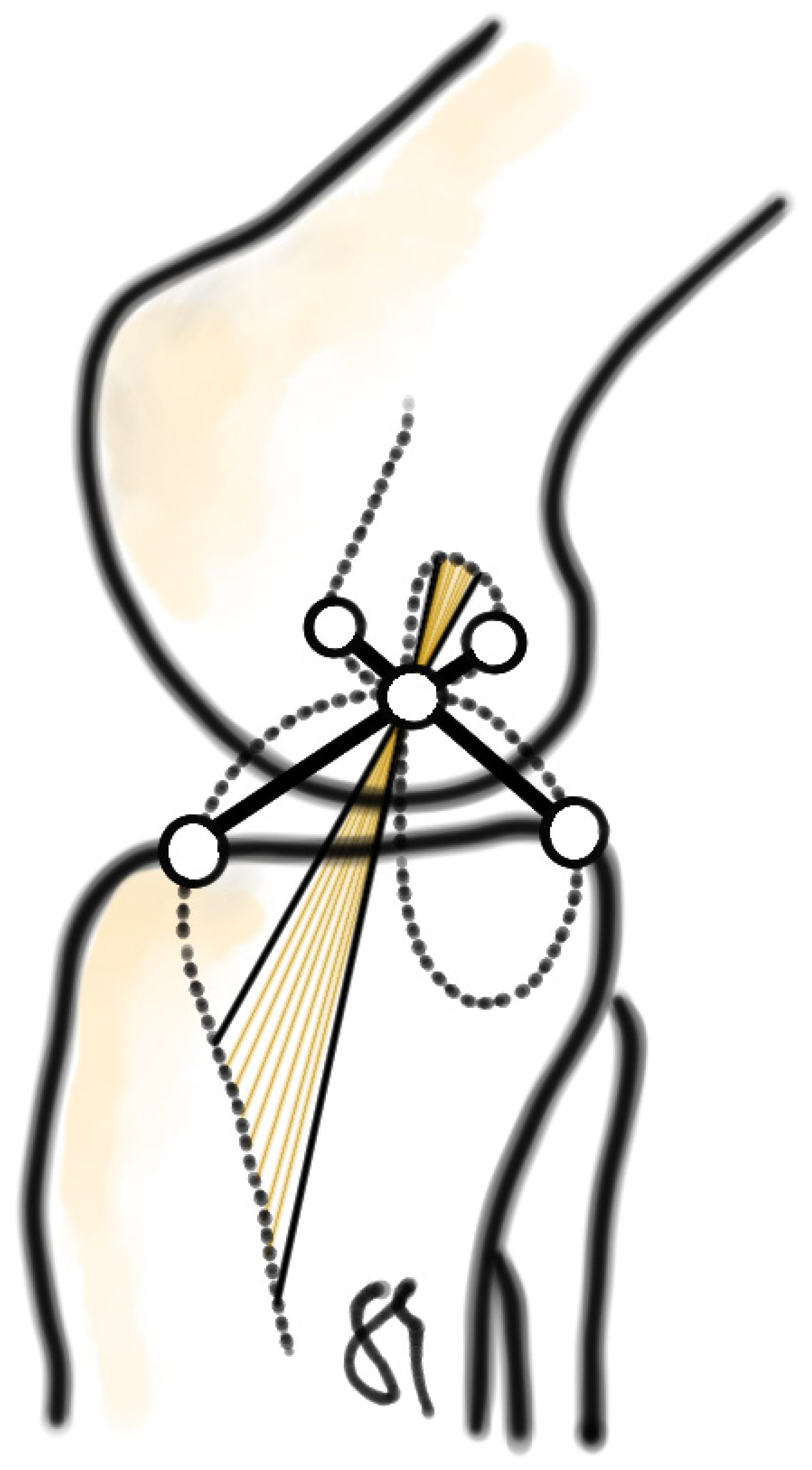 Jpm 13 00036 g001 Jpm 13 00036 g001