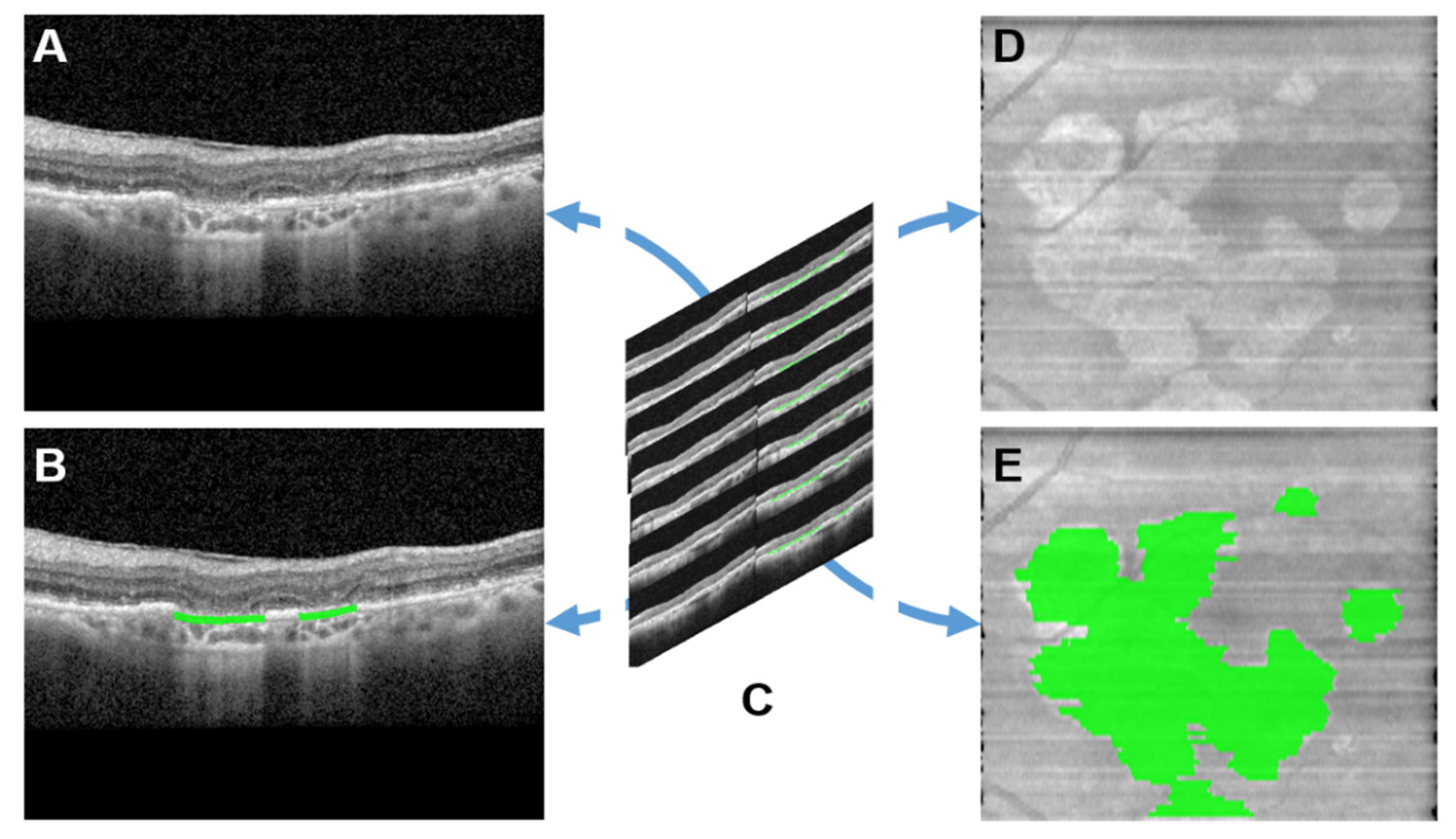 Jpm 13 00037 g002 Jpm 13 00037 g002