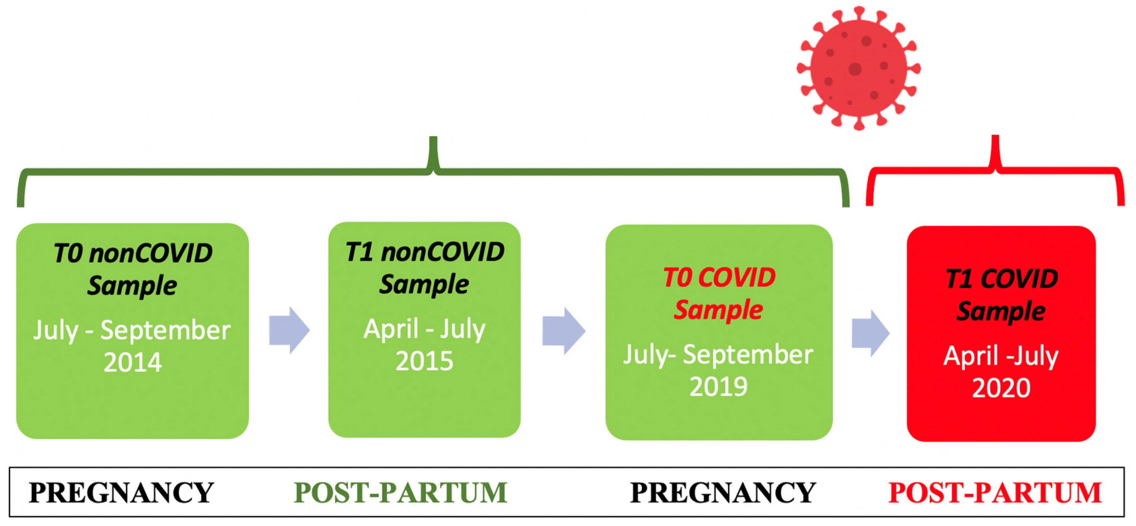 Jpm 13 00056 g001 Jpm 13 00056 g001