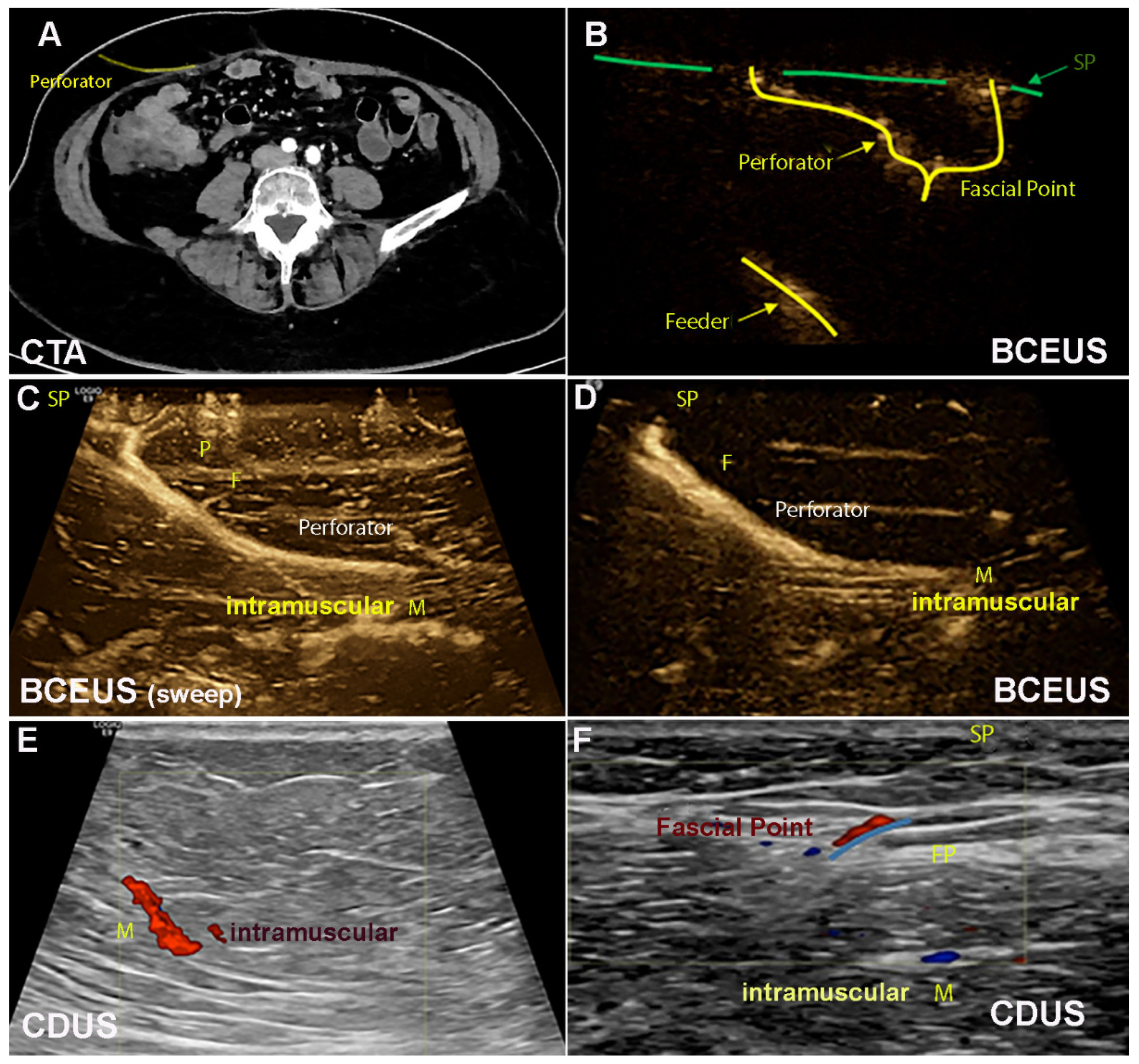 Jpm 13 00064 g002 Jpm 13 00064 g002